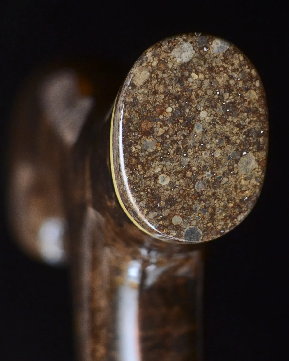 Gidgee Burl, Macassar Ebony, Ancient Bone, Stony Meteorite 14.jpg