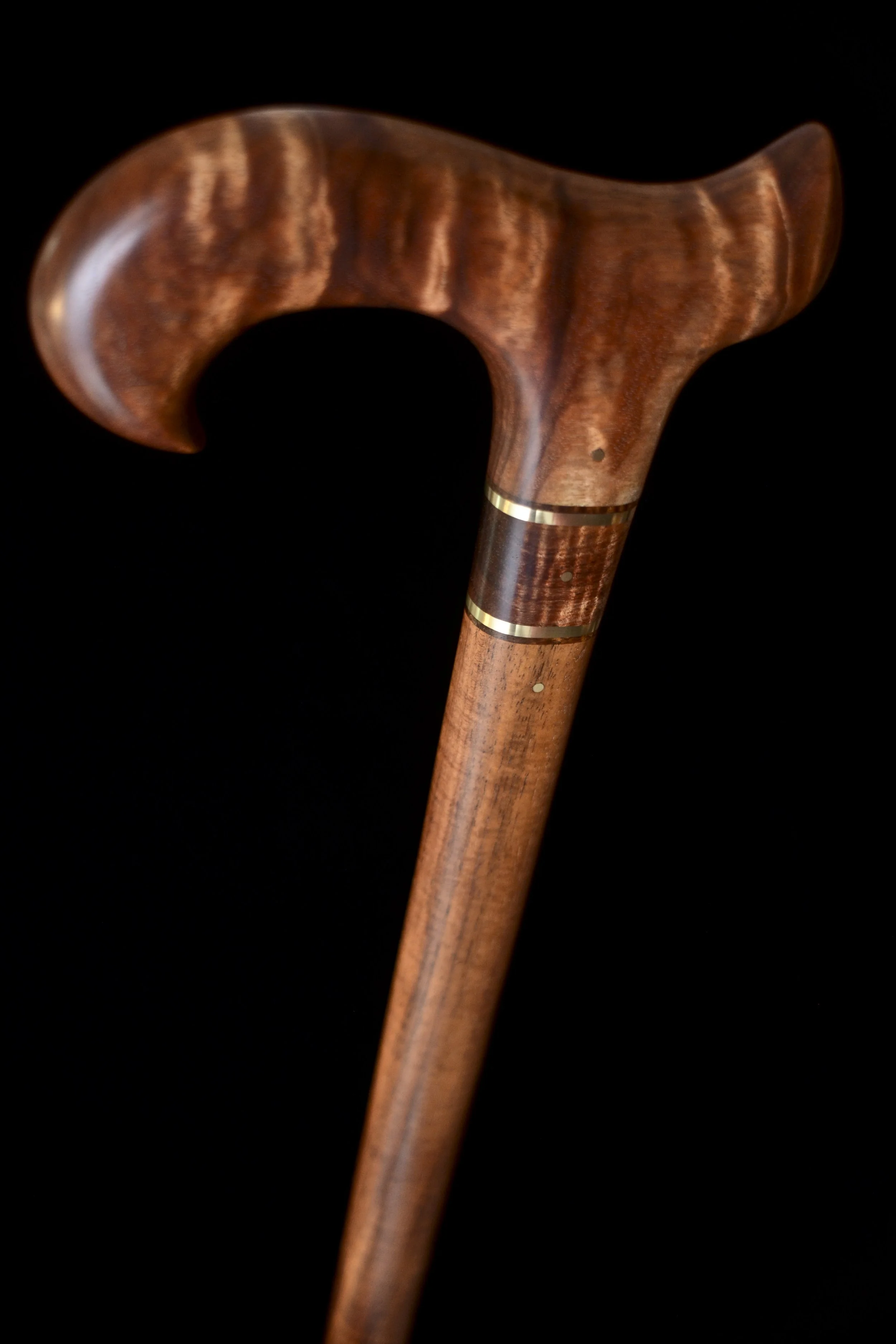 Tasmanian Blackwood, Tzalam 6.jpg