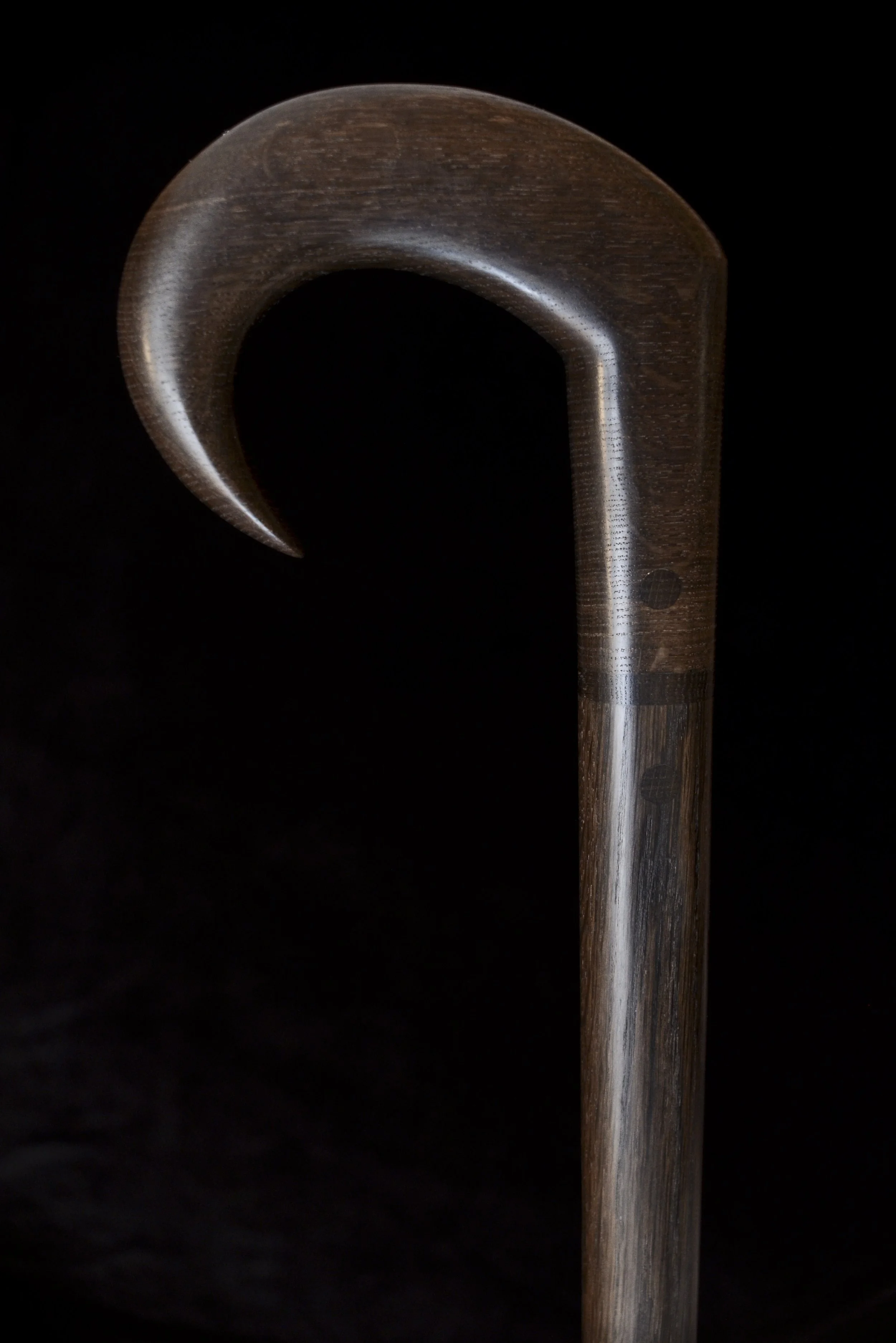 Bog Oak 2.jpg