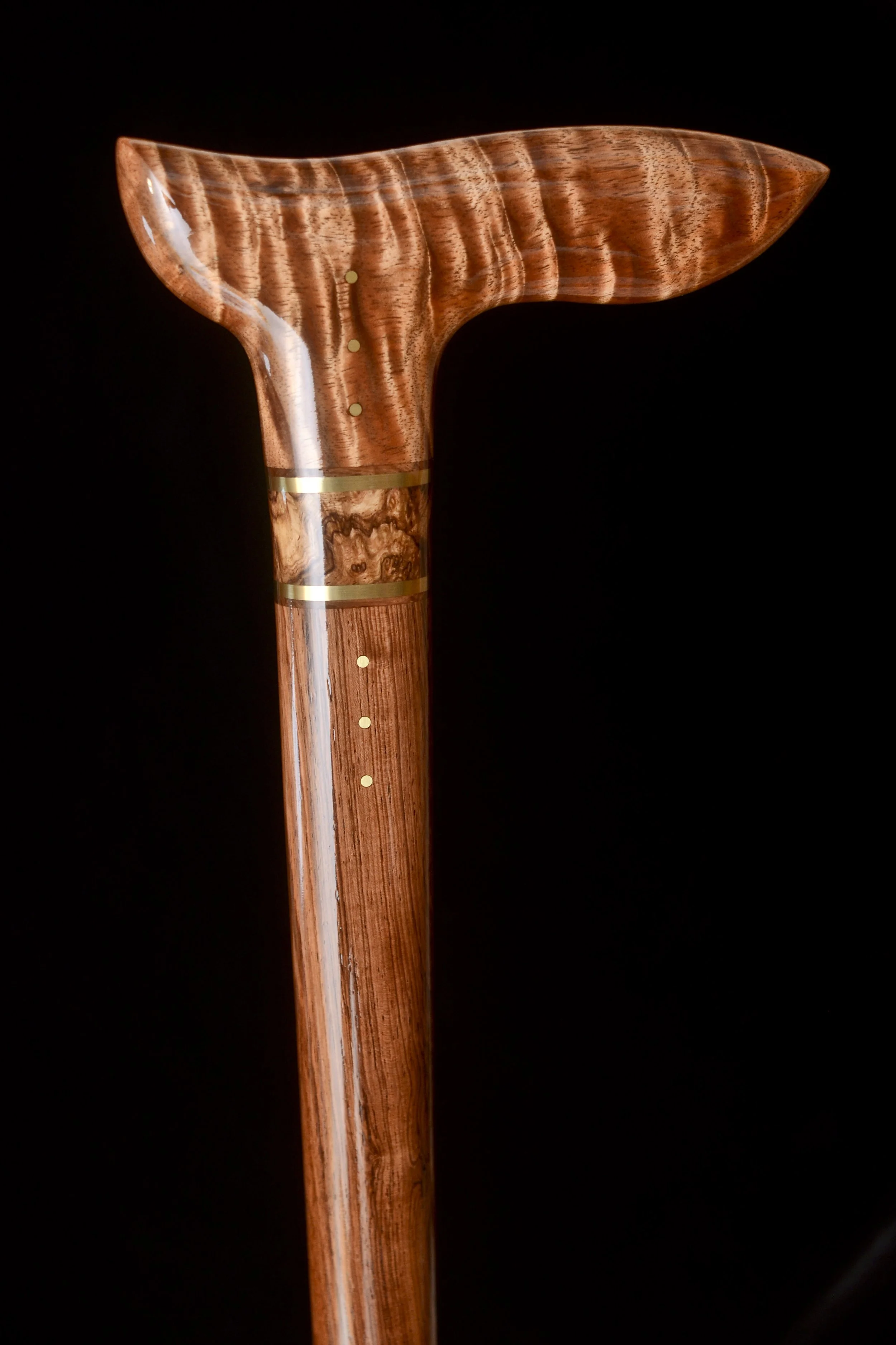 Blackwood, Honduran 1.jpg