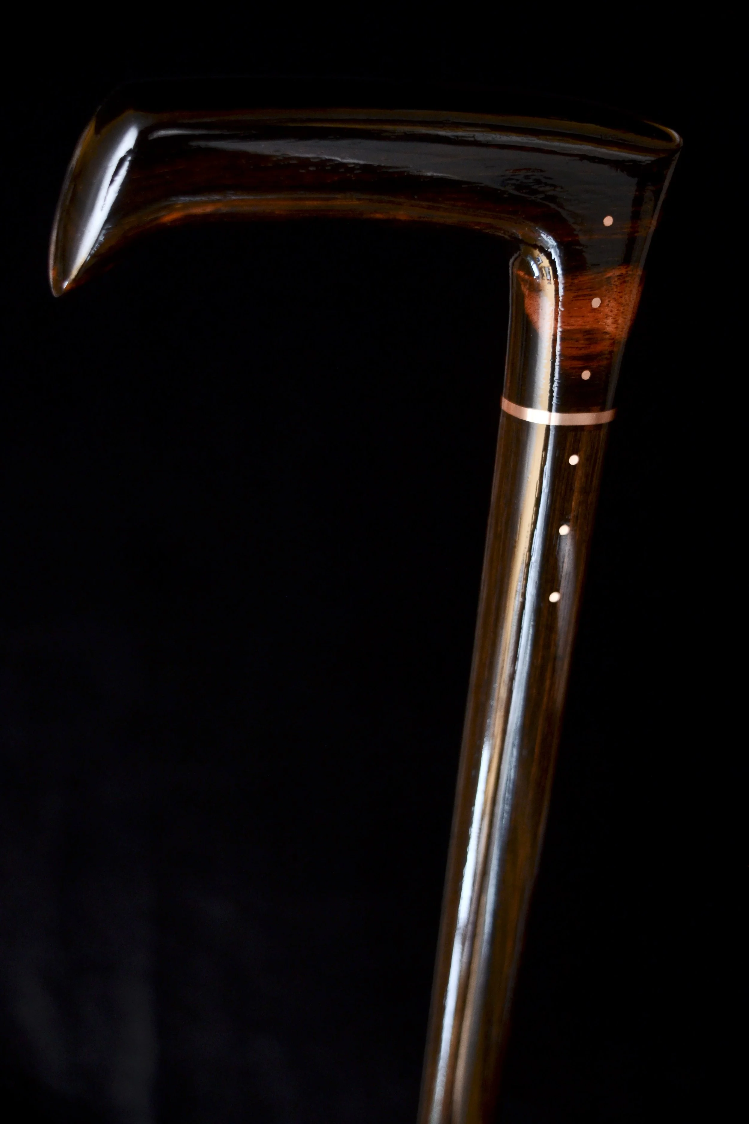 Ebony Modern 6.jpg
