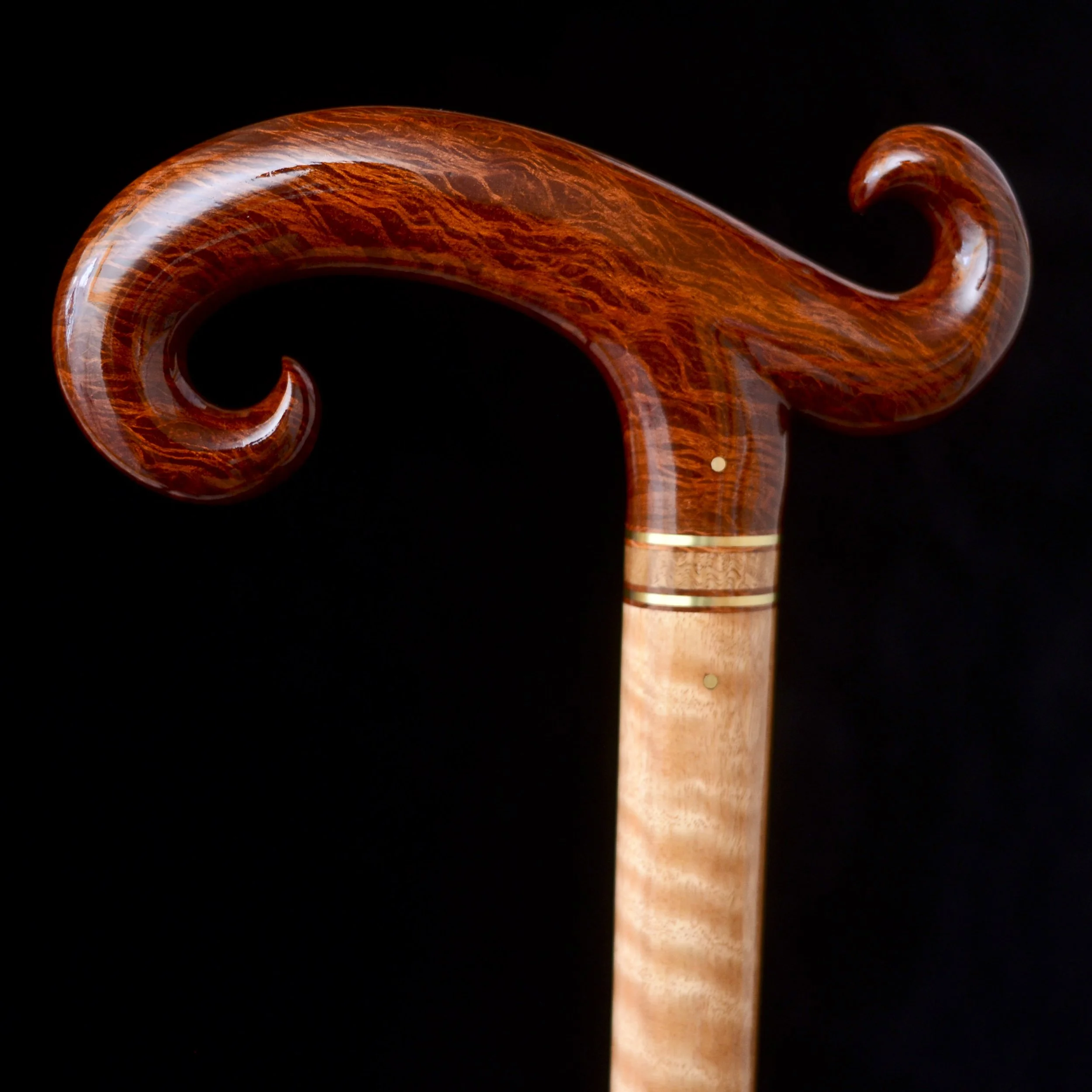 Sheoak, Eucalyptus 9.jpg