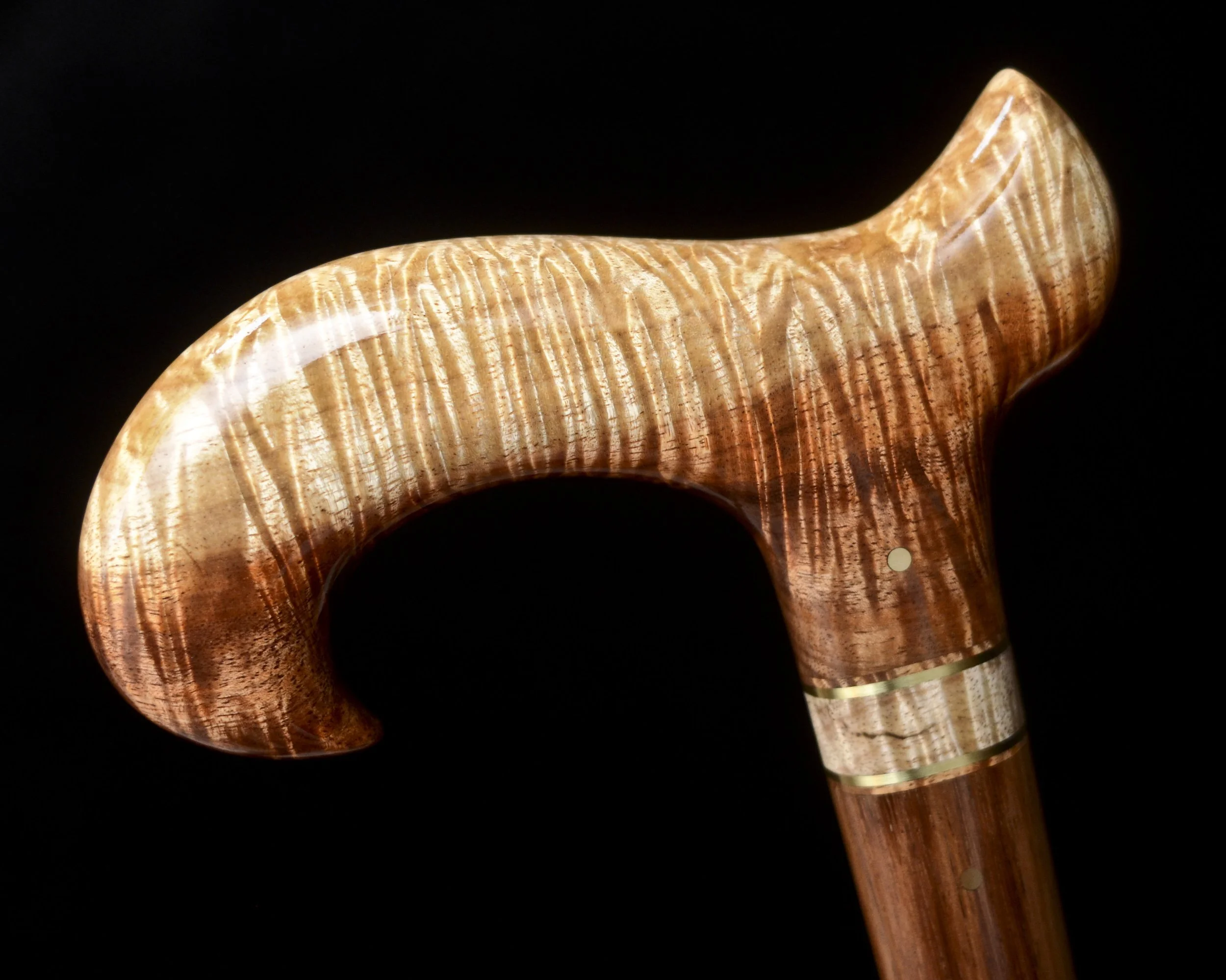 Tasmanian Blackwood 8.jpg