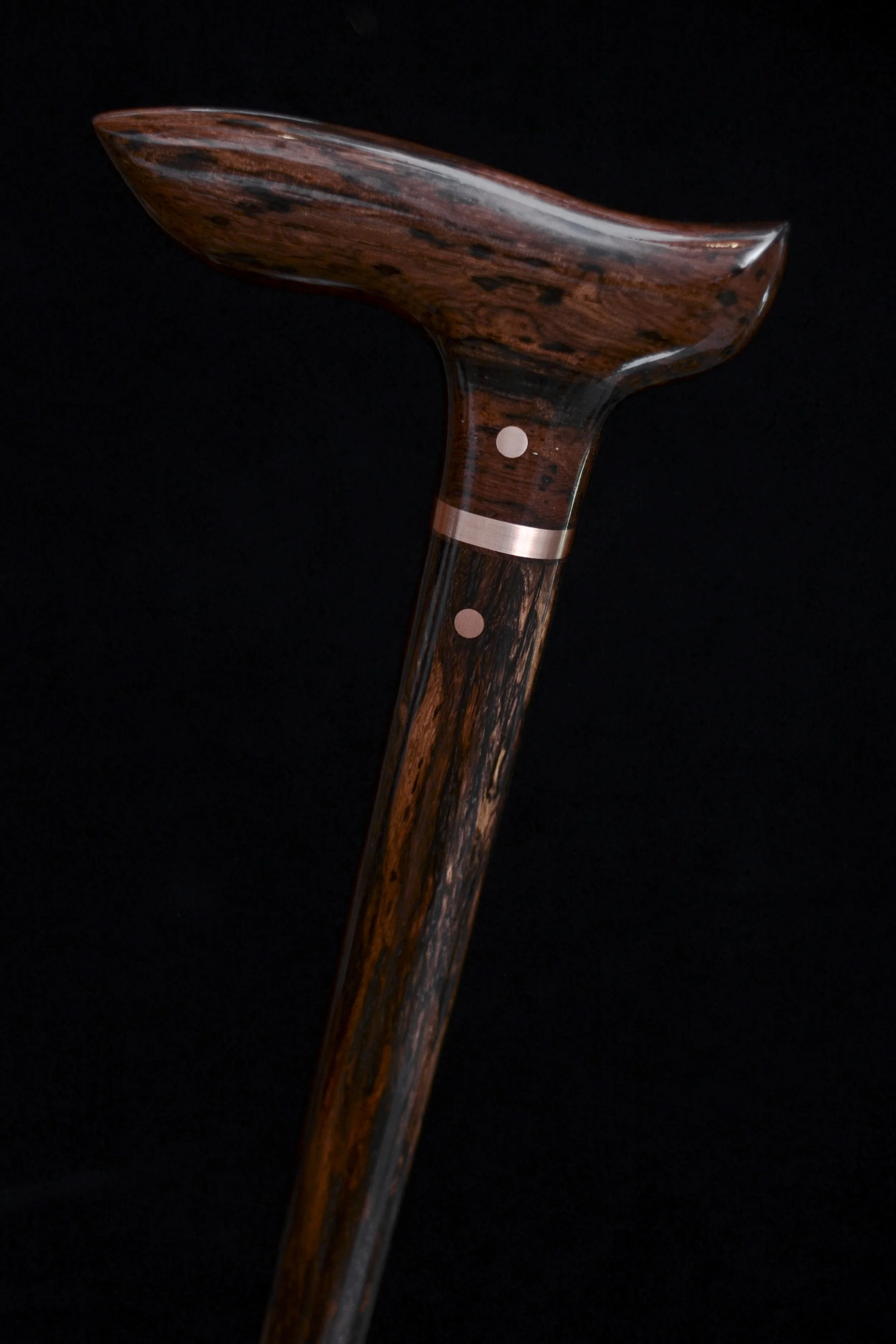 Lanceolaria 8.jpg