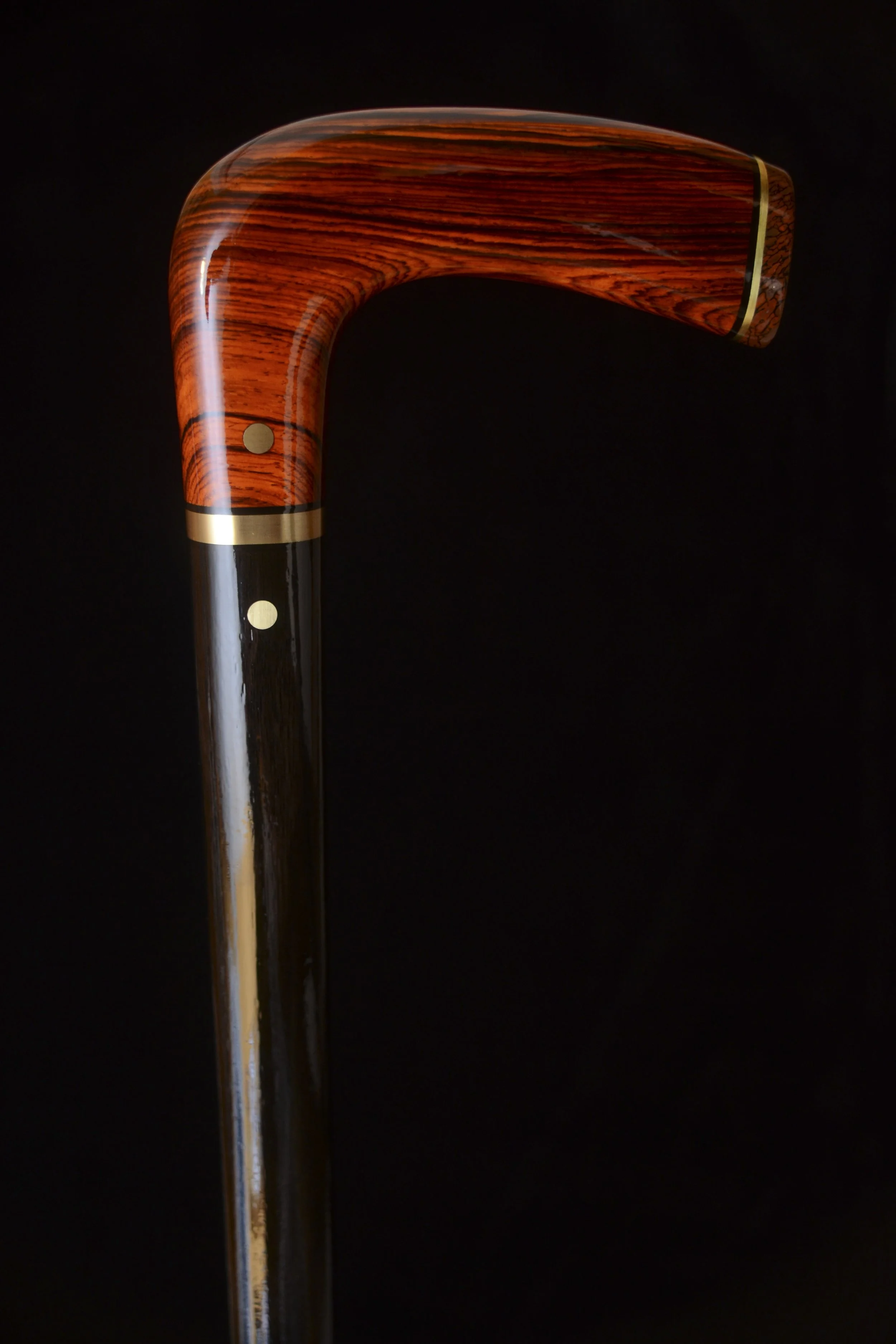 Cocobolo, Ebony, Dino Bone 2.jpg