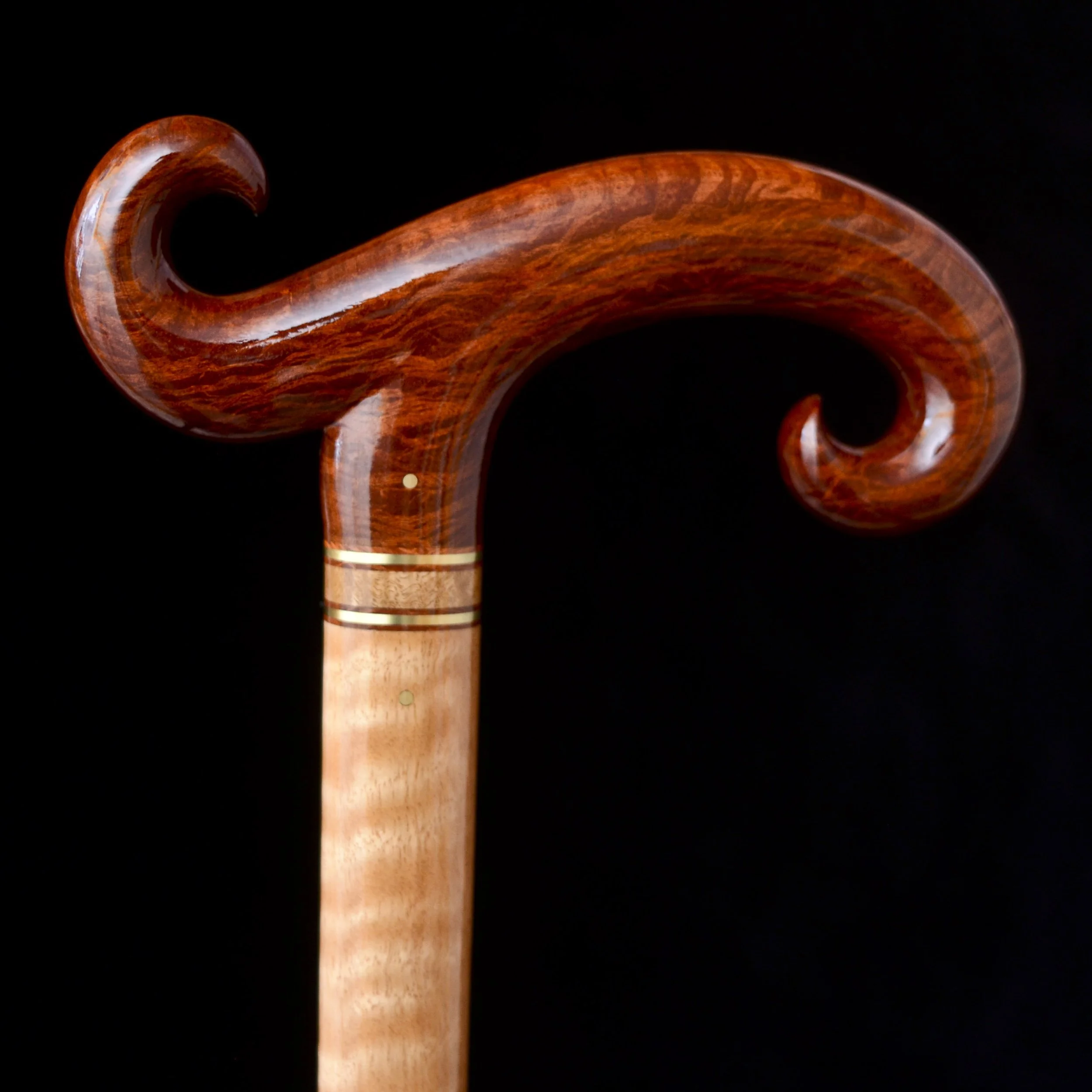 Sheoak, Eucalyptus 8.jpg