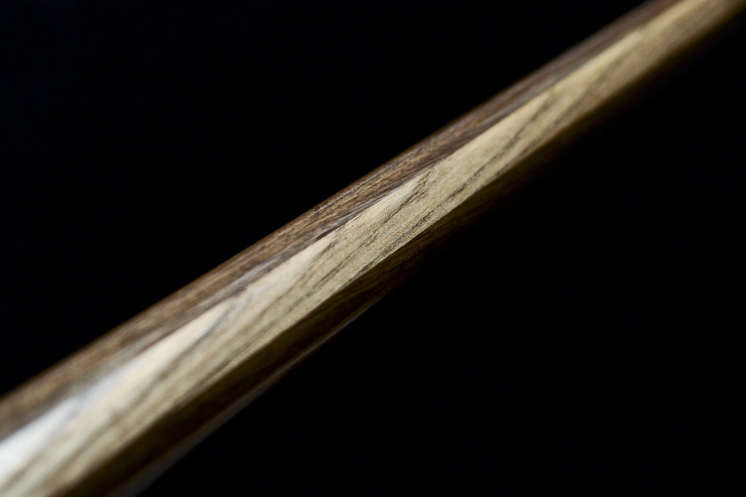 Sinker Cypress, Bog Oak, Jindai Nire, Dinosaur bone 18.jpg