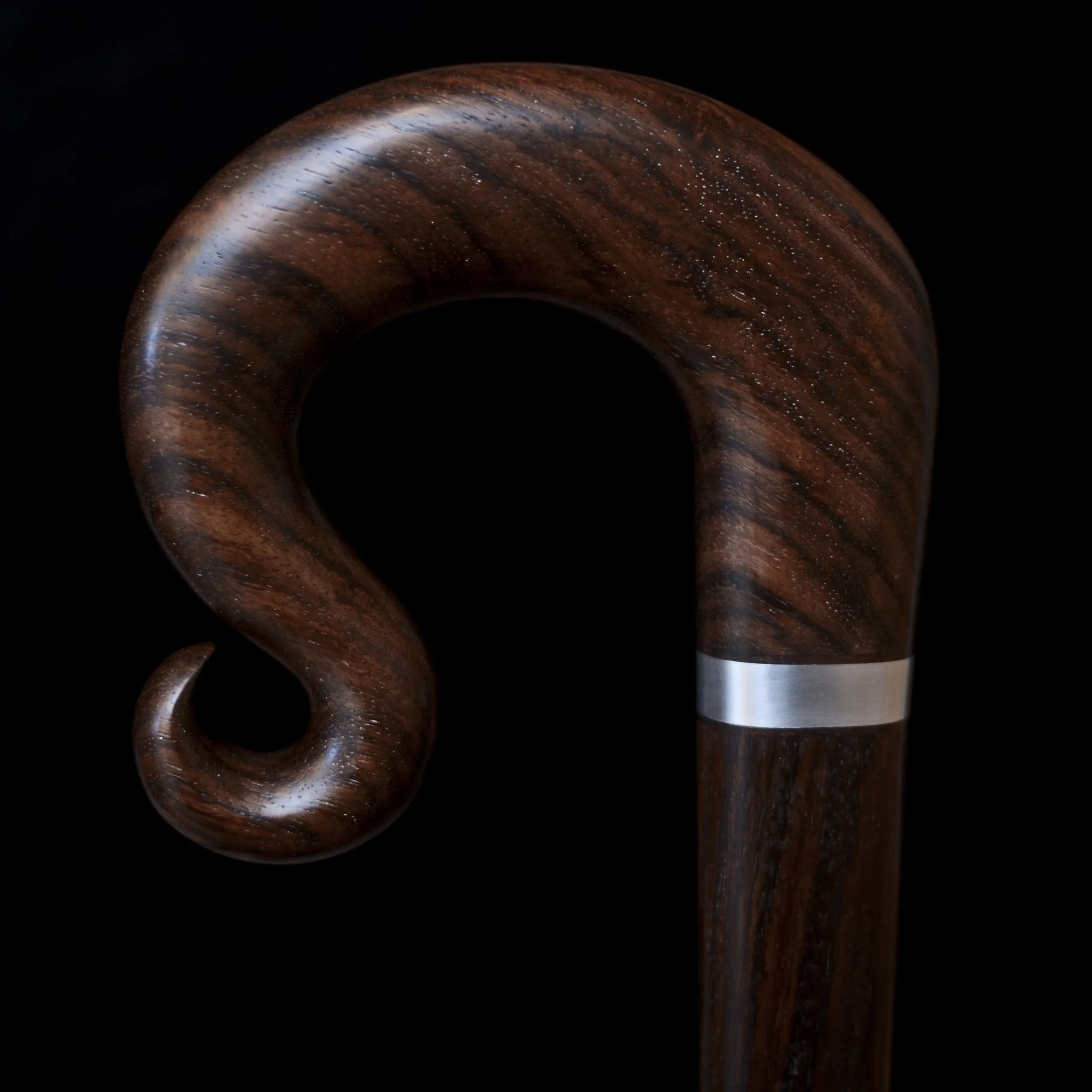 EIR Curl 10.jpg