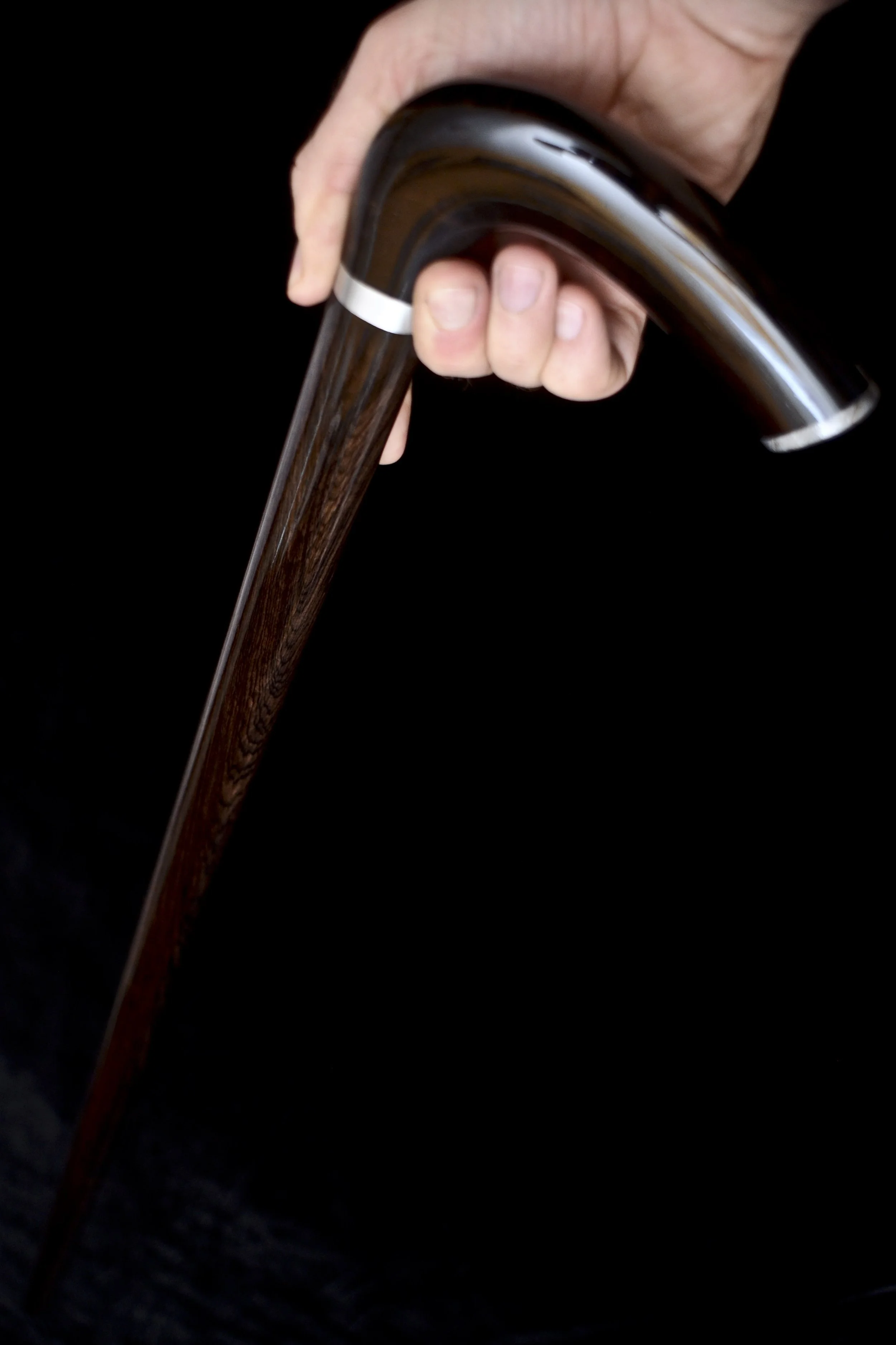 African Blackwood, Aletai Meteorite 13.jpg