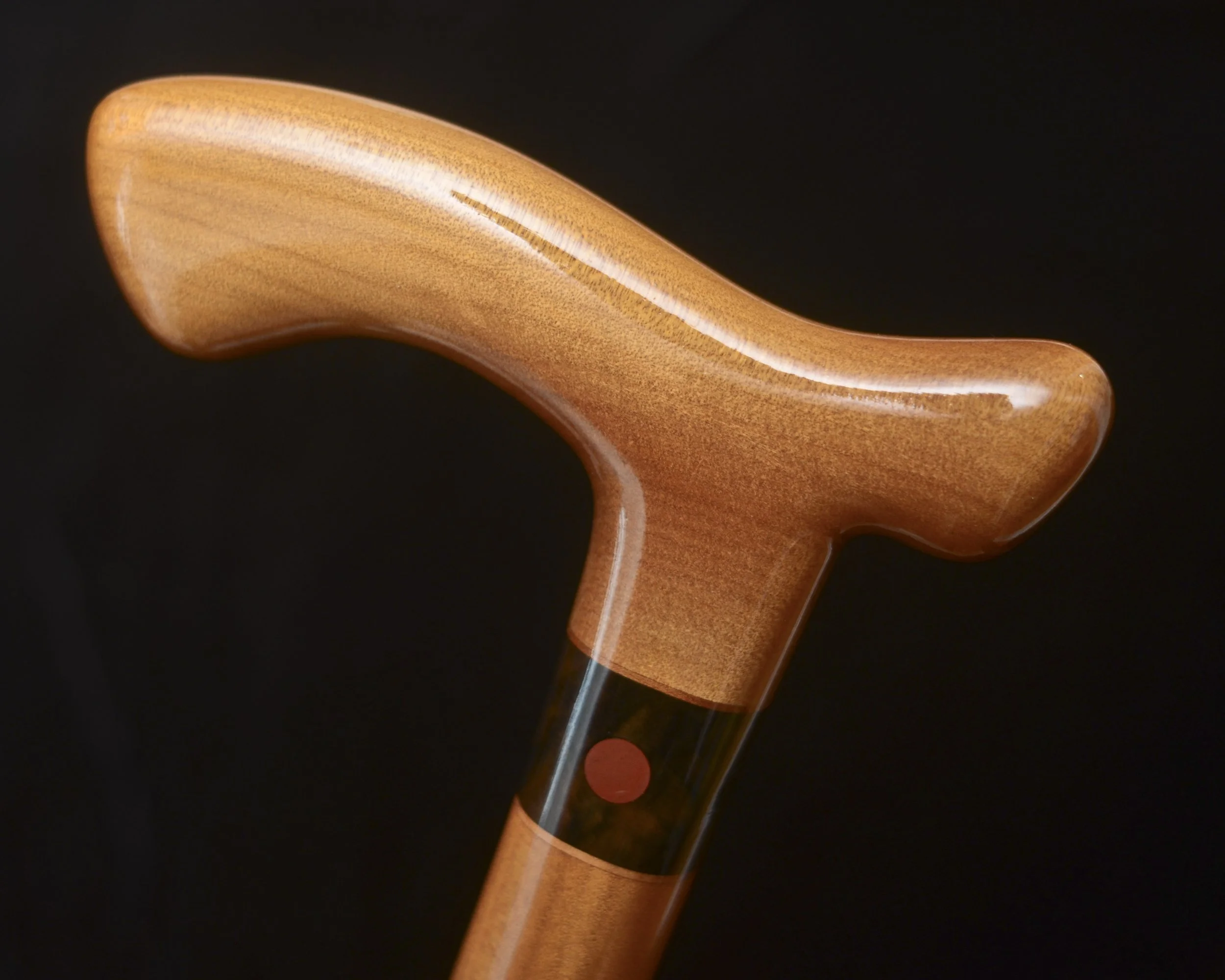 Ancient Kauri 6.jpg