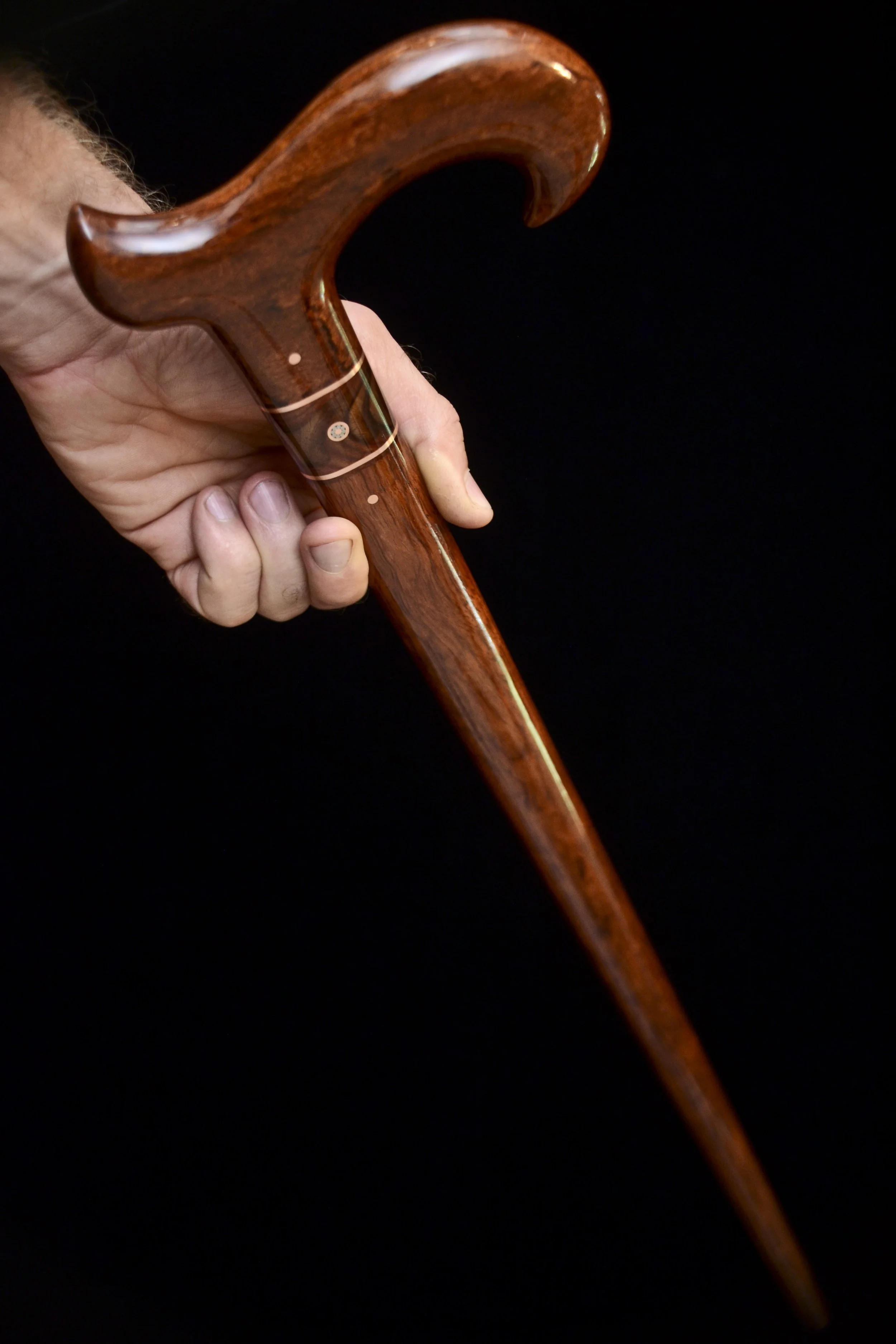 Bariensis Rosewood 15.jpg