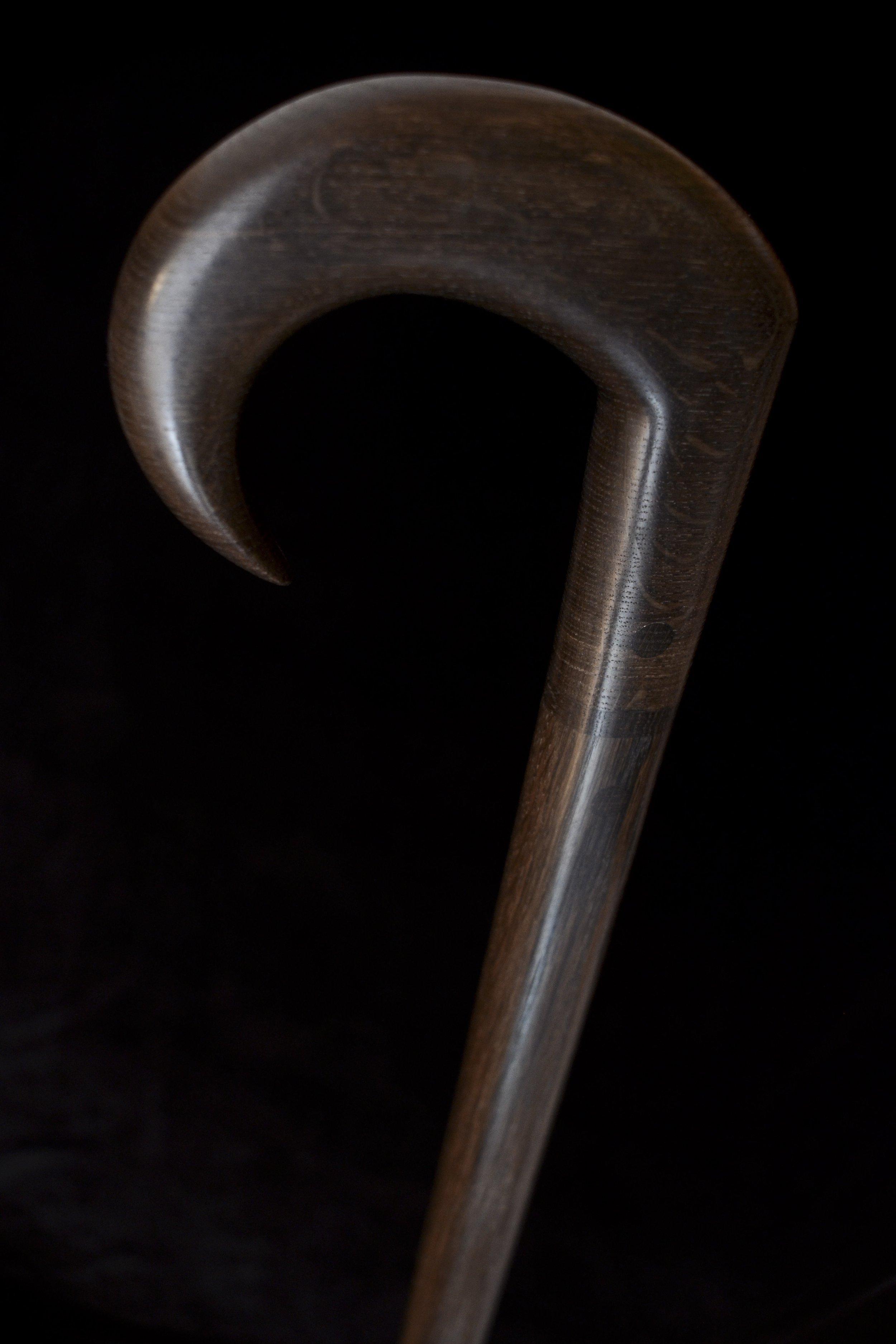 Bog Oak 6.jpg