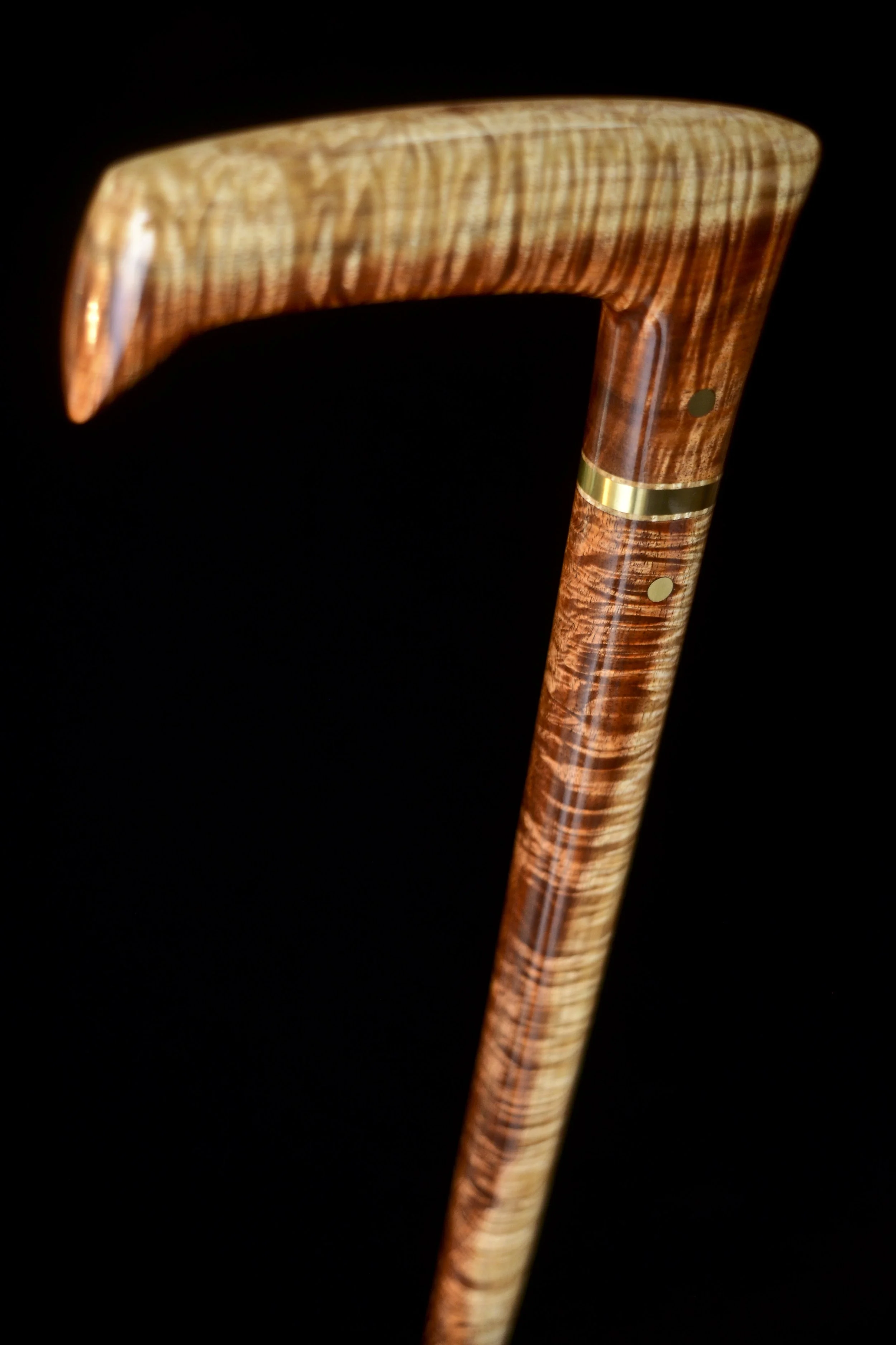 Tasmanian Blackwood 6.jpg