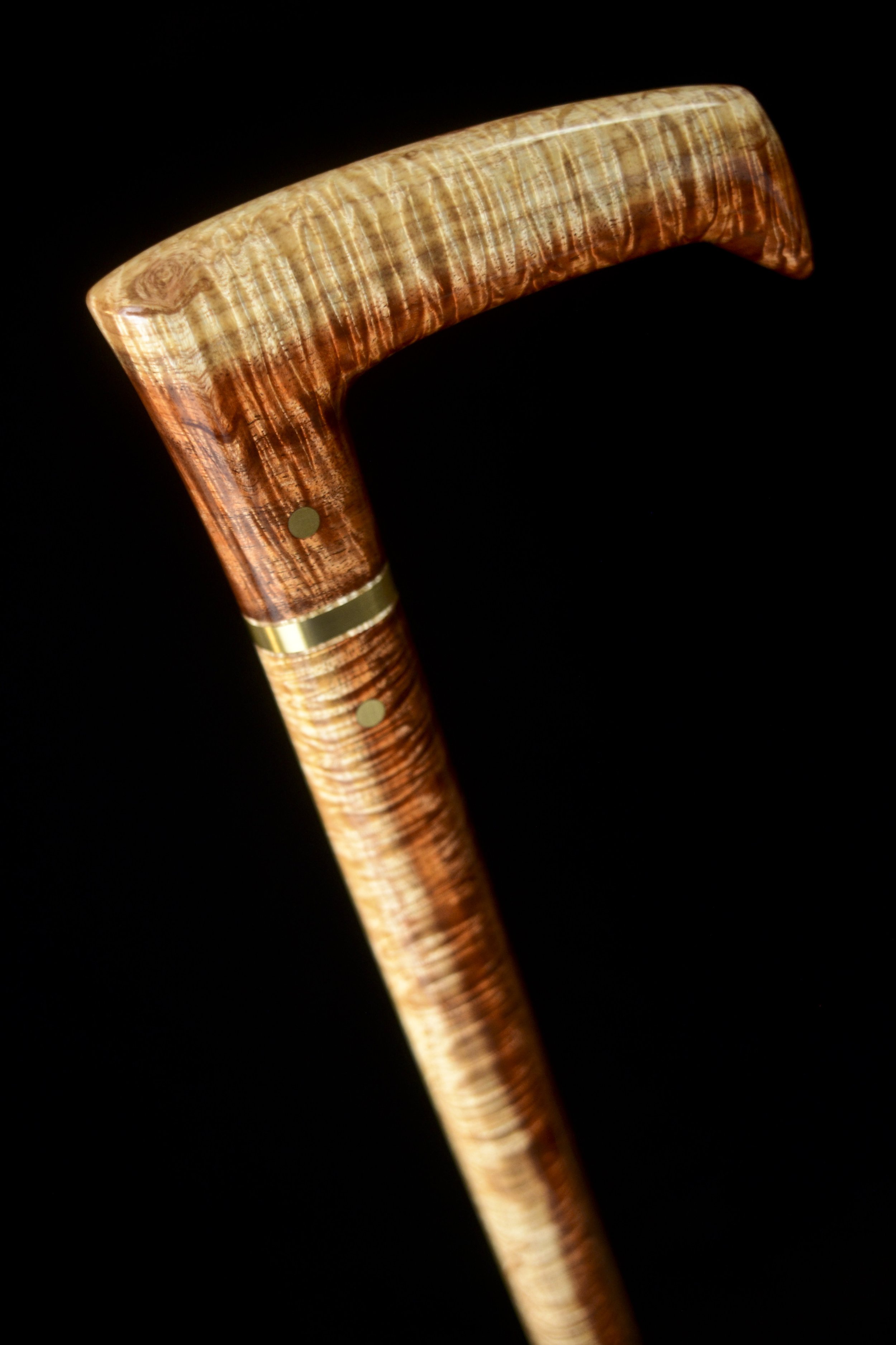 Tasmanian Blackwood 4.jpg