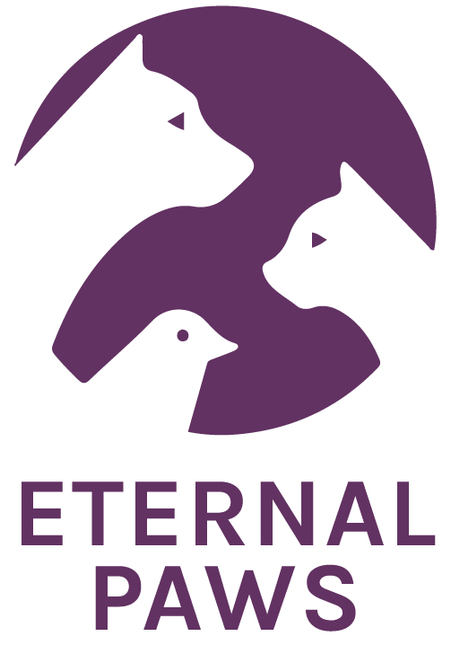 Eternal Paws - Quality Pet Cremation