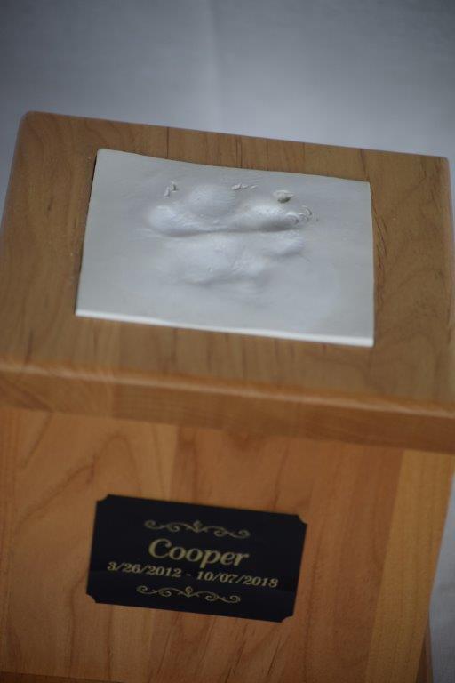DSC_0577 - Copy - Copy.jpg