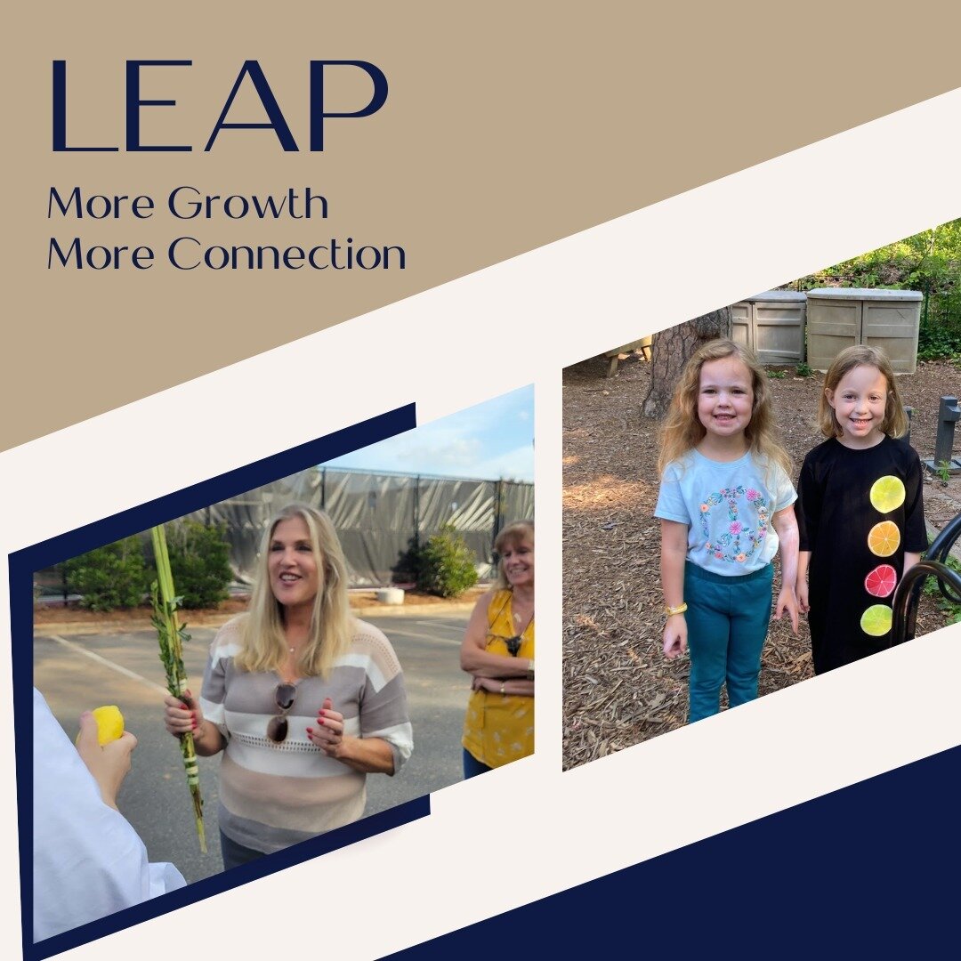 Growth.

A simple, yet powerful word that holds so much meaning and hope for people everywhere.

It can take place in all different shapes and sizes. We are always lauding and encouraging it, even in incremental, gradual amounts. 

Just take a look a