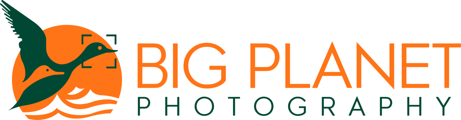 Big Planet Photography