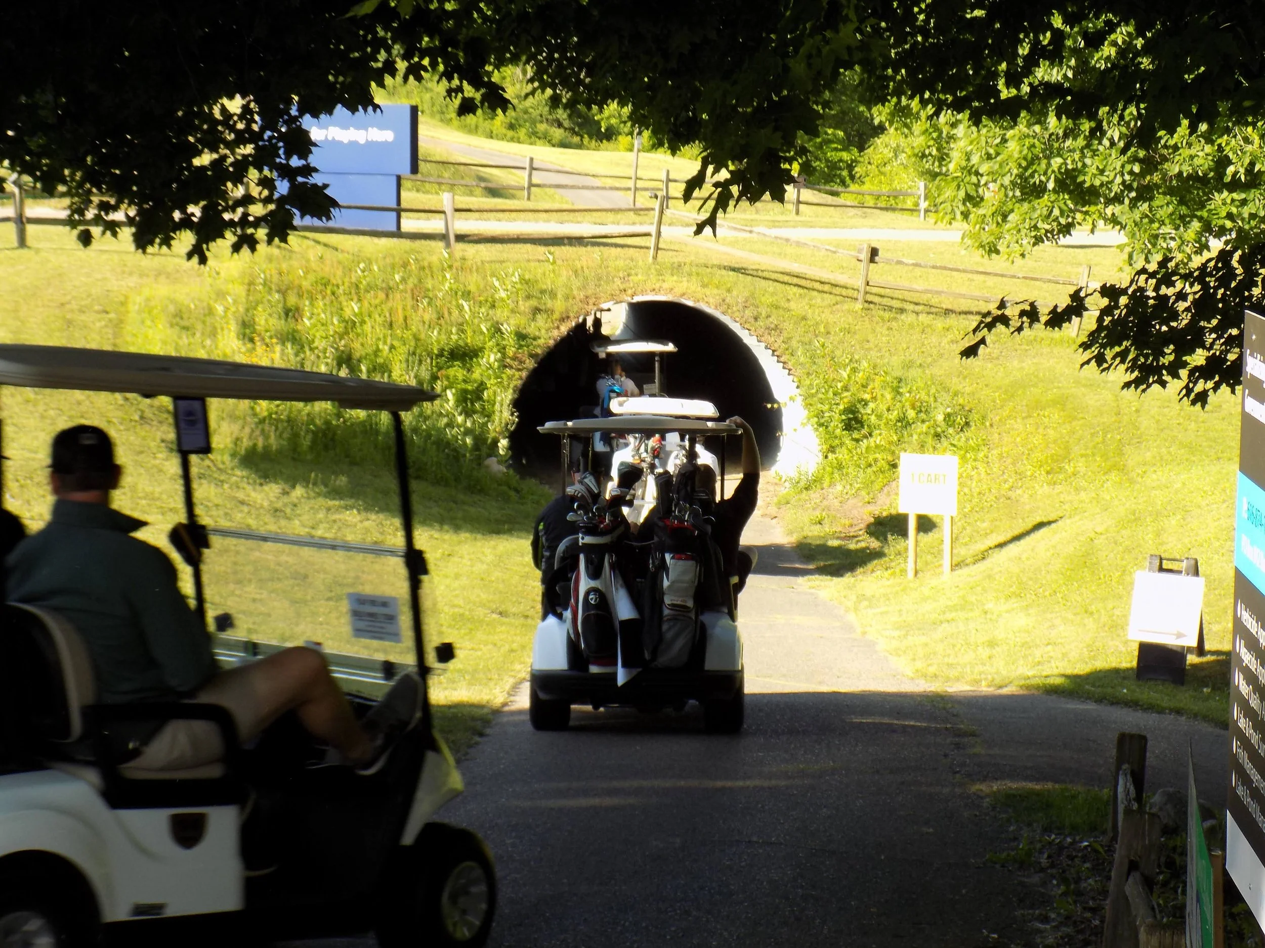 DSCN0193.JPG