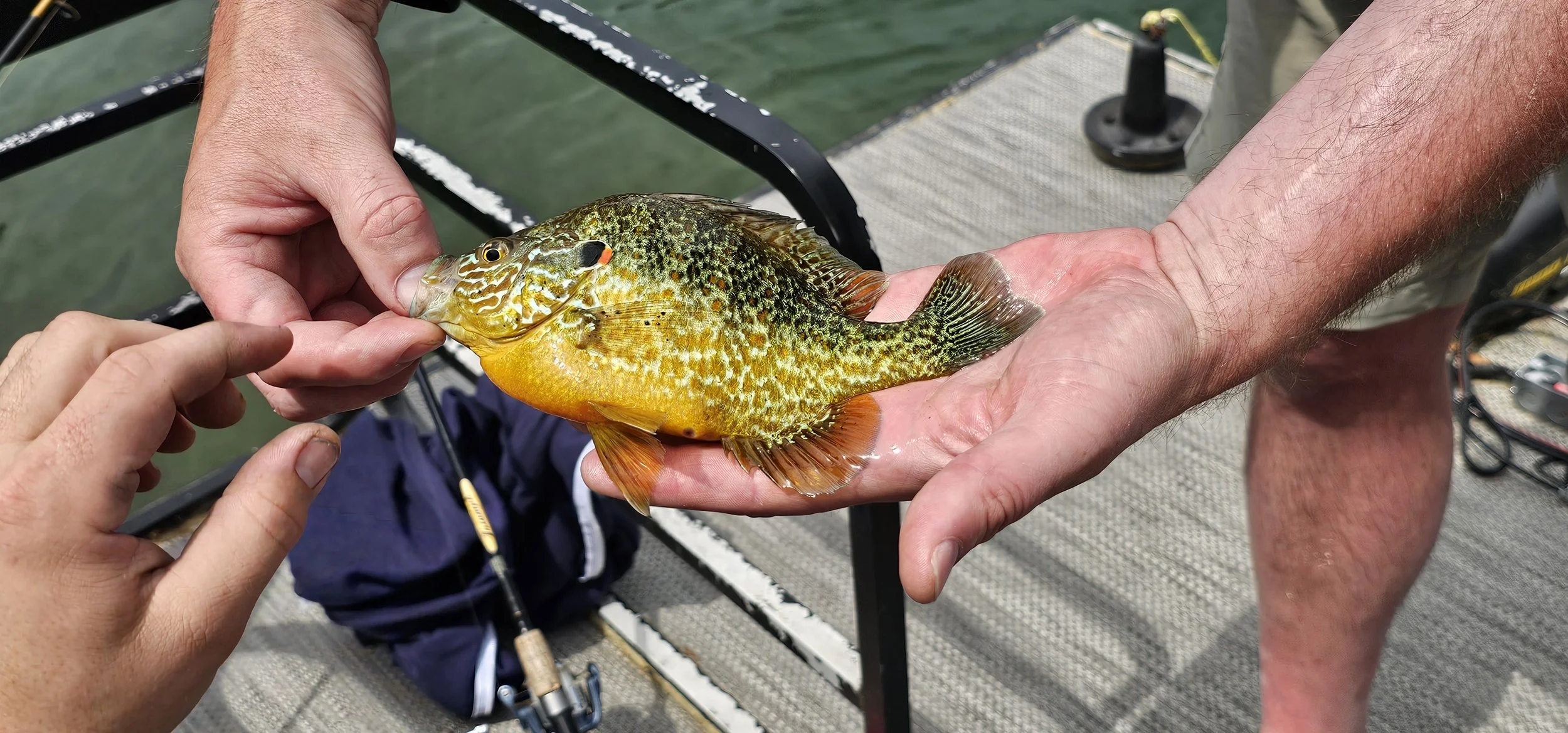 20250614_123738.jpg
