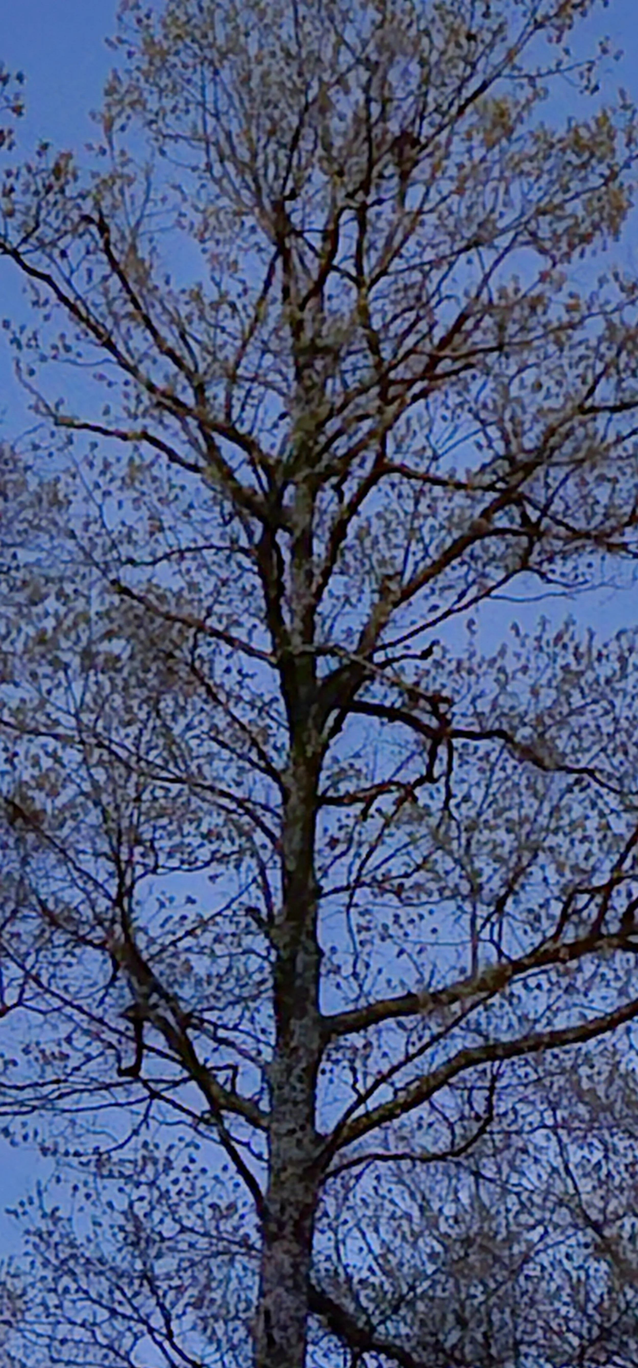 20250509_213702.jpg
