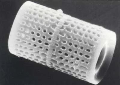 Amer-Res-Tech-What-is-Diatomite-Article-20110.jpg
