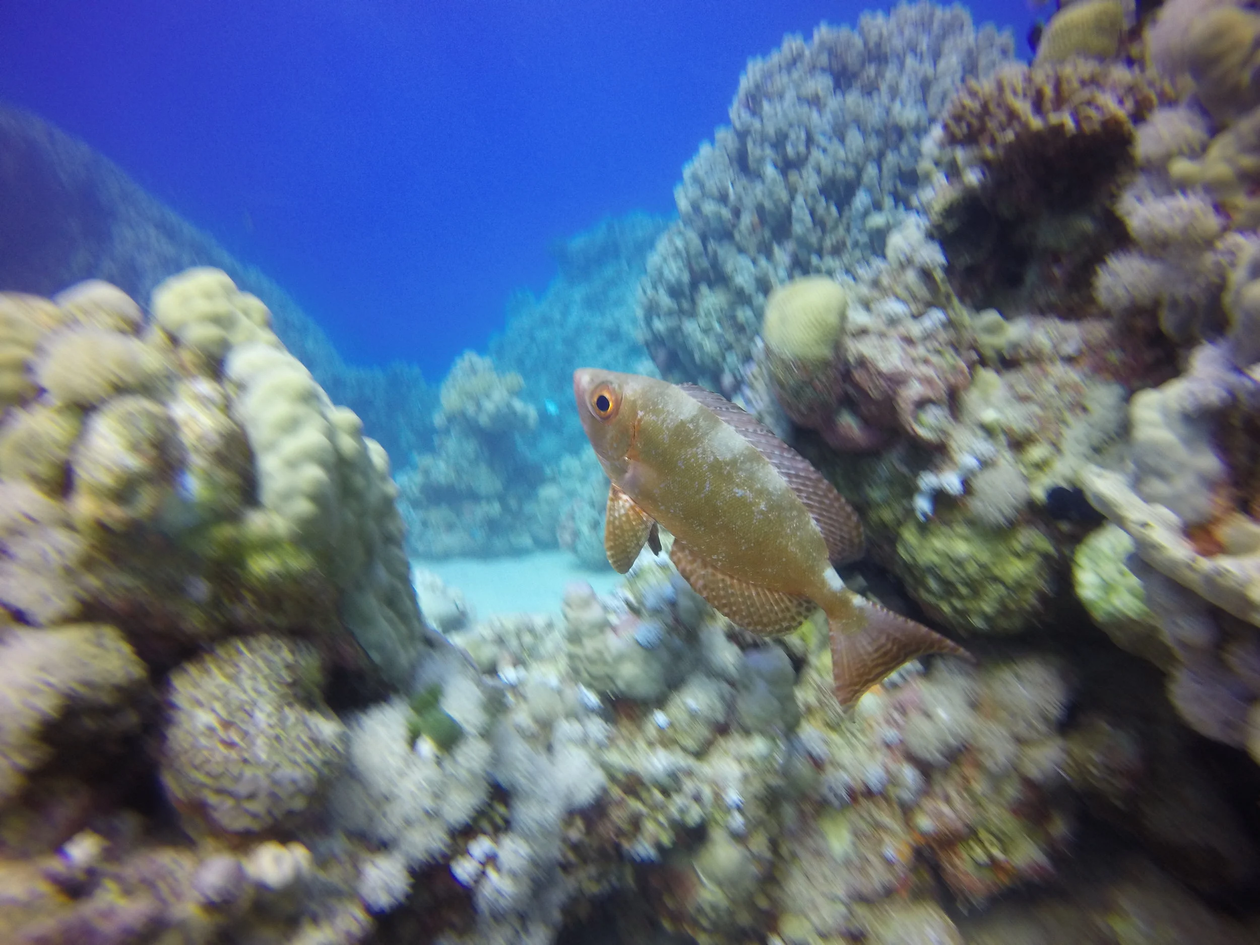 GOPR0866.JPG