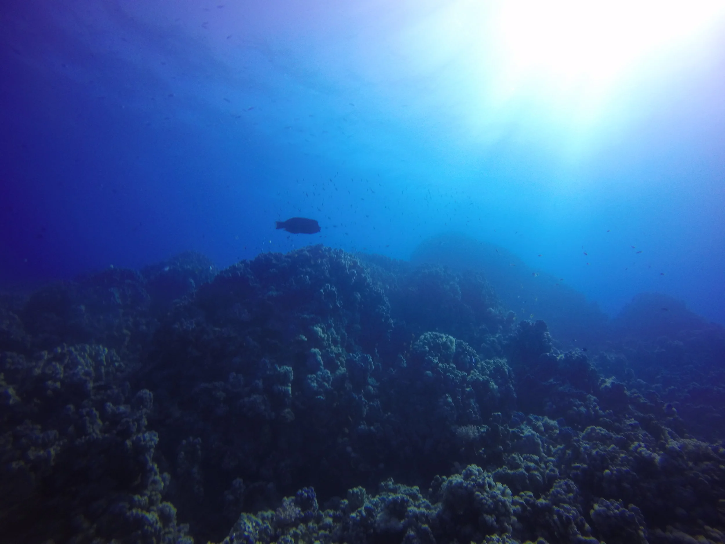 GOPR0875.JPG