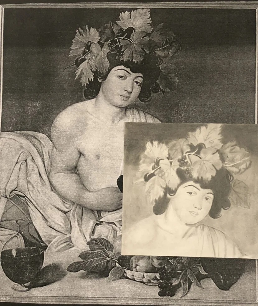 Caravaggio’s Life    by Michelle Bassali