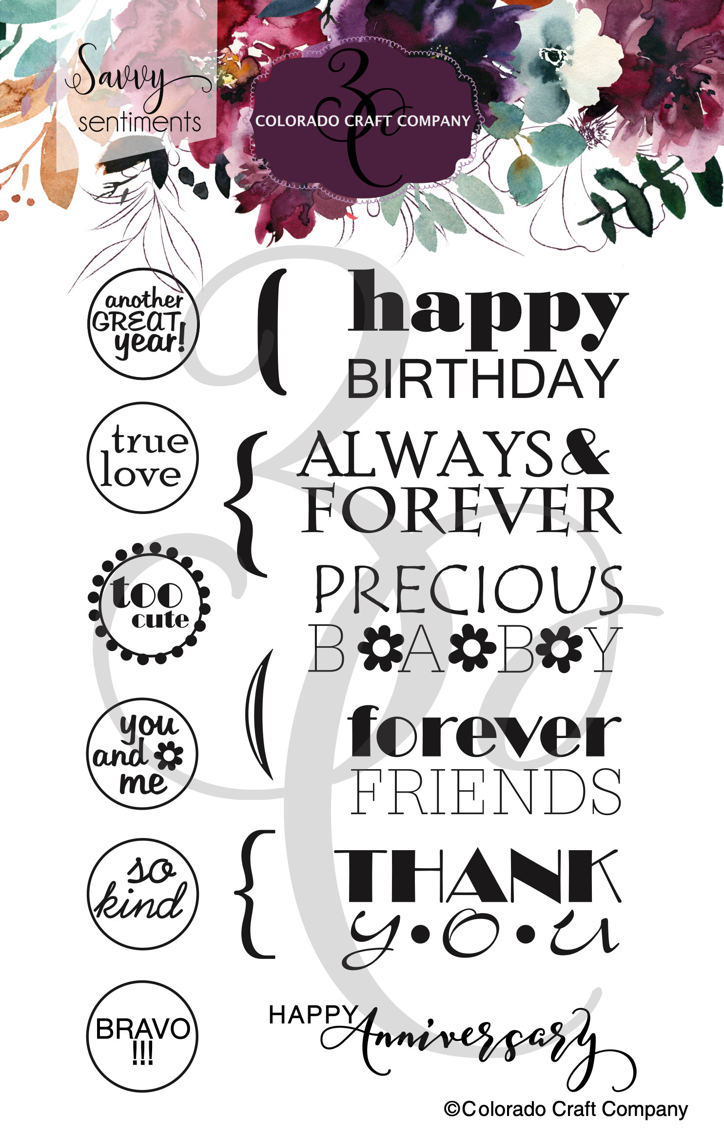 SS518 Savvy Sentiments~General Greetings 4 x 6 Clear Stamps PKG WM.jpg