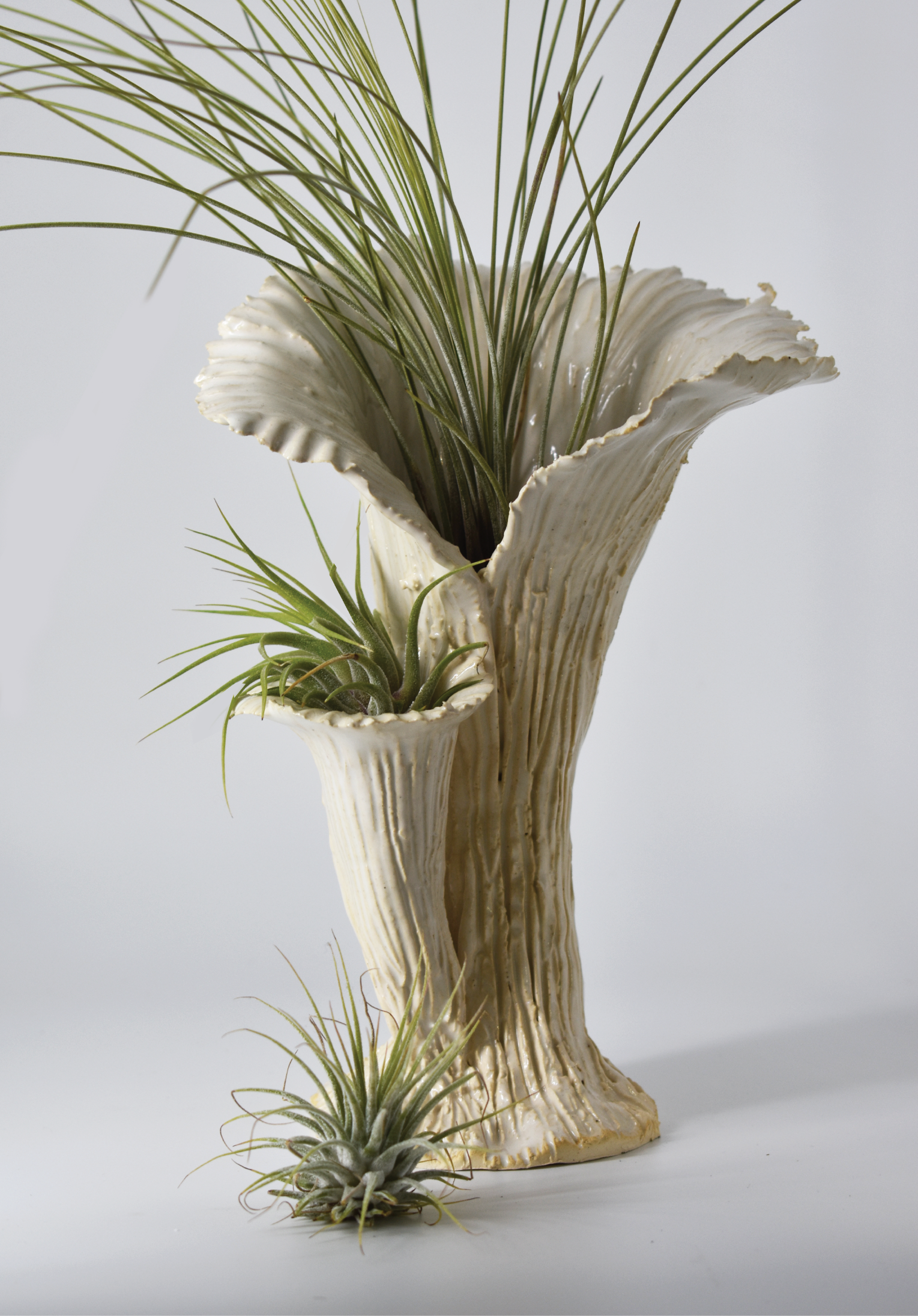 Victoria Vase