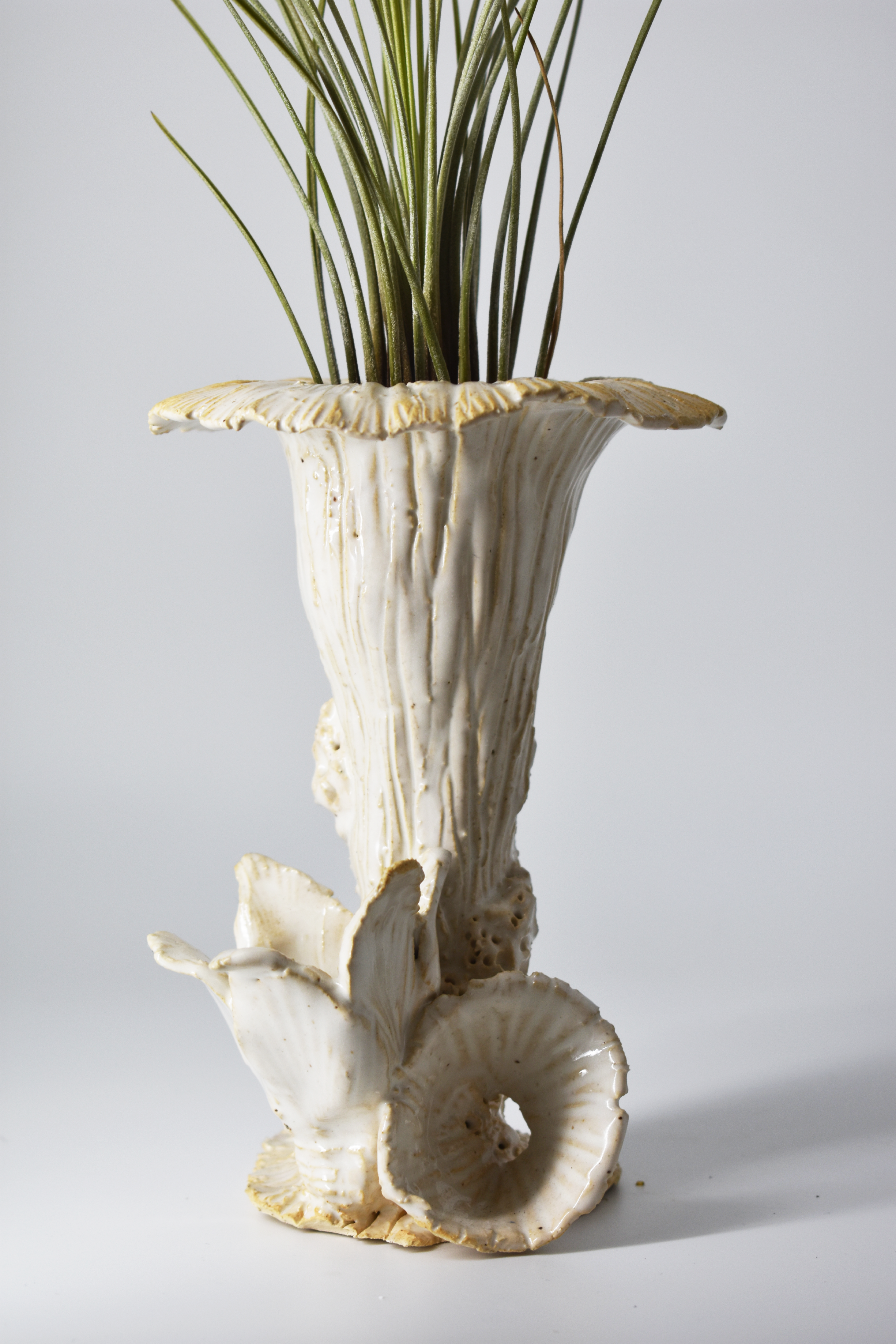 Thaumas Vase