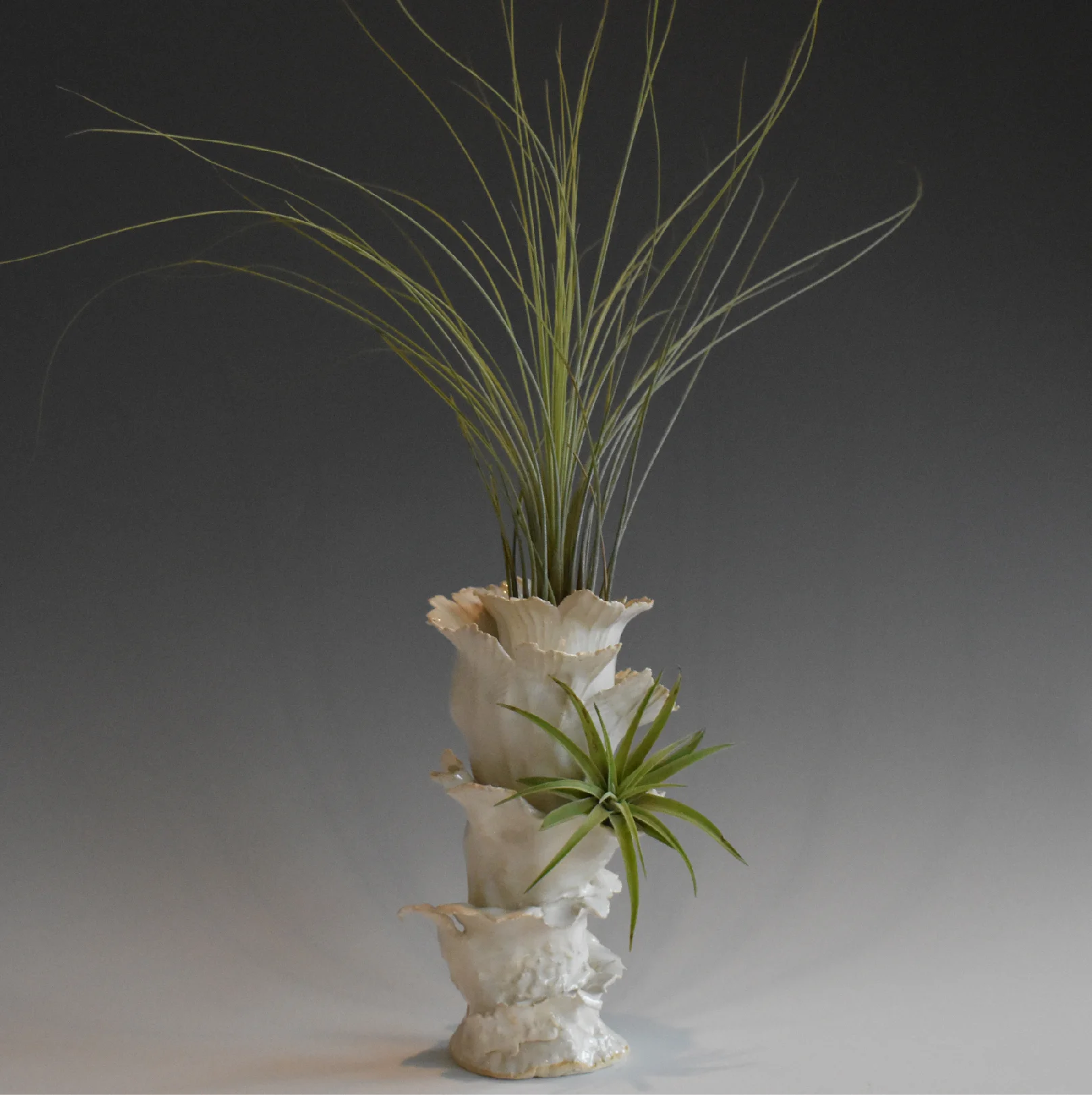 Spira Vase 1.jpg