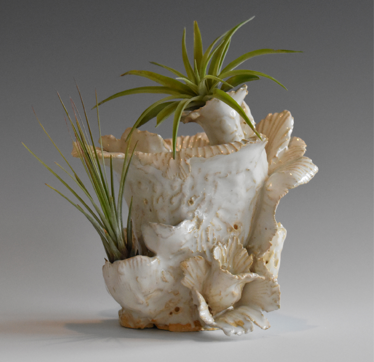 Aberdeen Vase.jpg