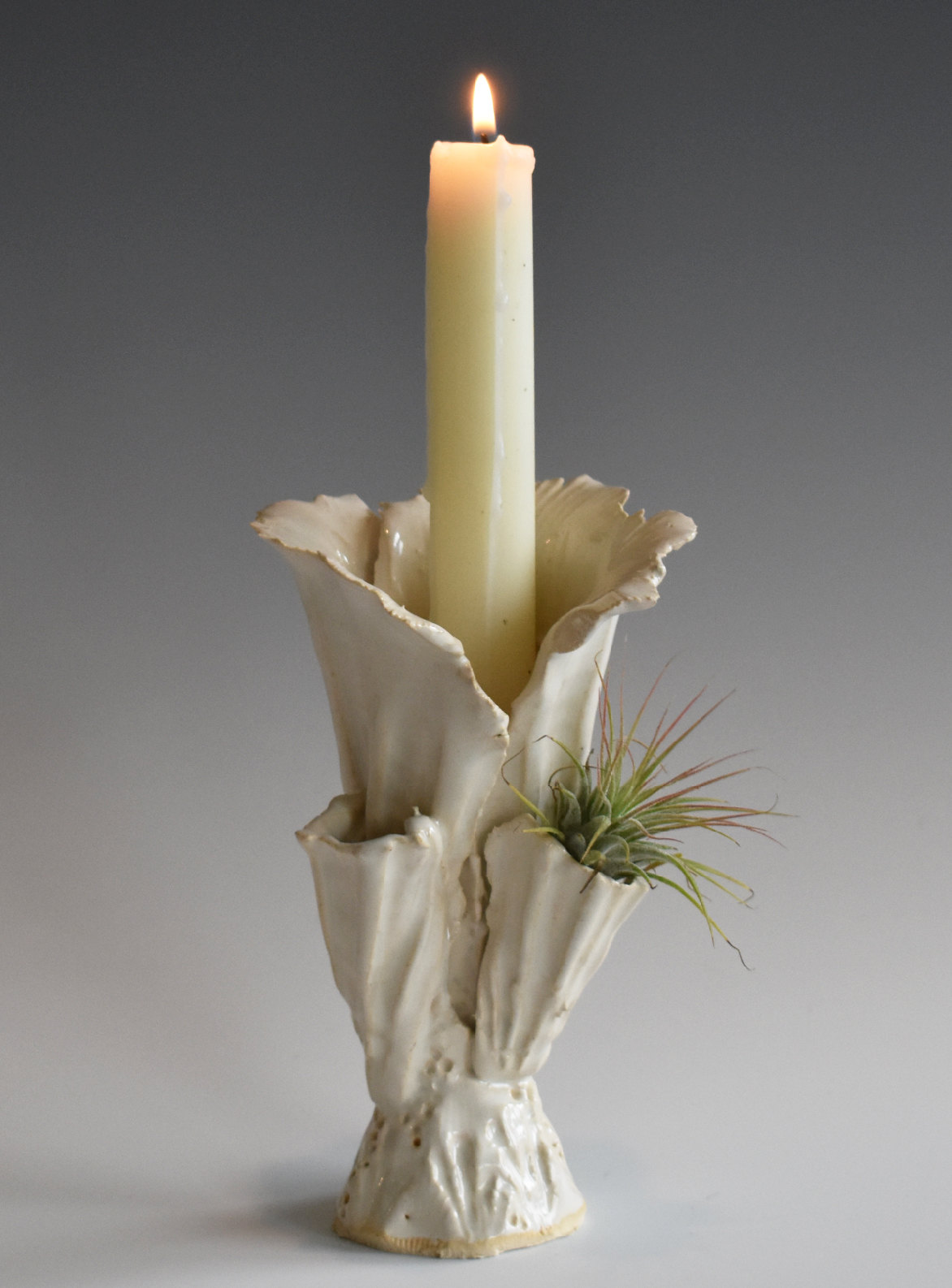 Bianca Vase 3.jpg