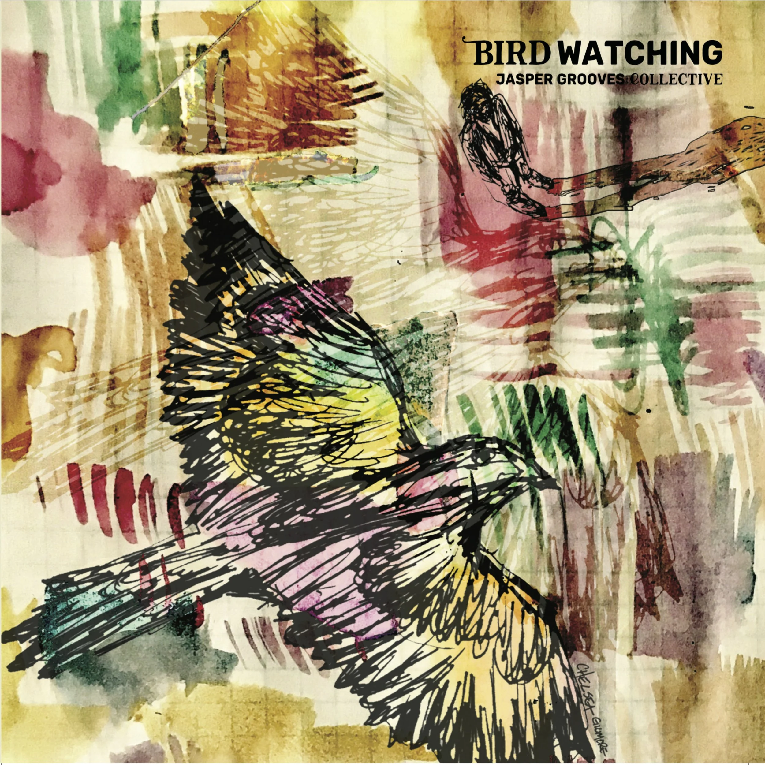 Bird Watching - Vinyl