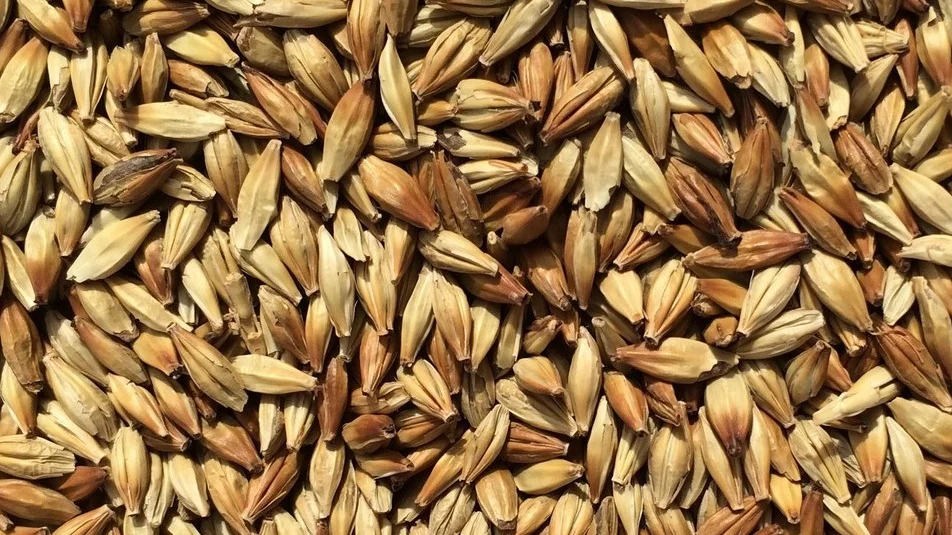palouse%2Bmalt.jpg