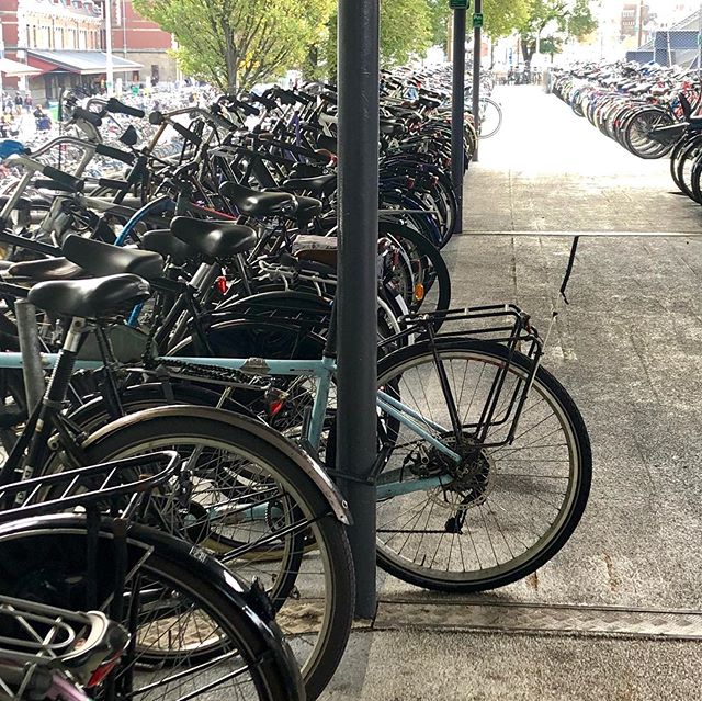 Our tandem sticks out a bit in the massive bike park at Amsterdam Centraal station. All safe and sound after it&rsquo;s weekend amongst the stags, hens, sororities and fraternities that swarm the city. &mdash;  #Worldbycycling #adventurecycling #bicy