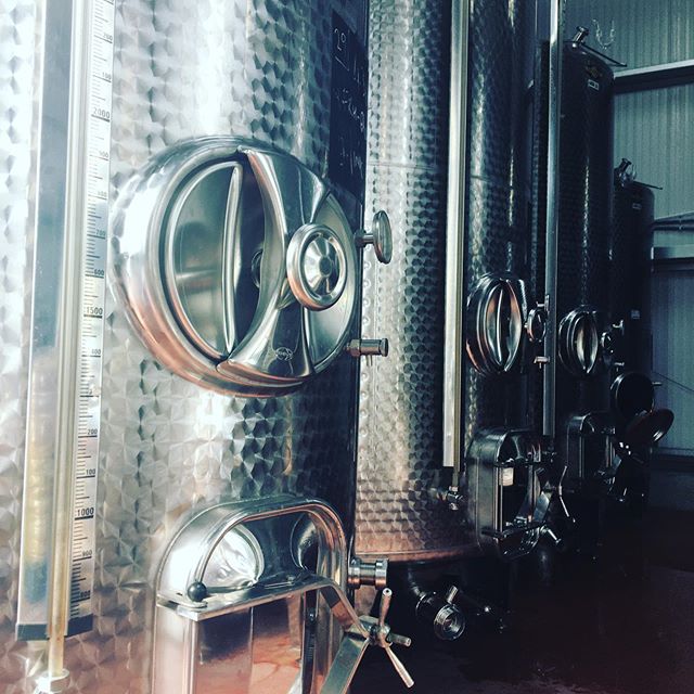 The start of week 4 of vintage and the tanks are filling up! #englishwine #englishsparklingwine #englishvintage2019