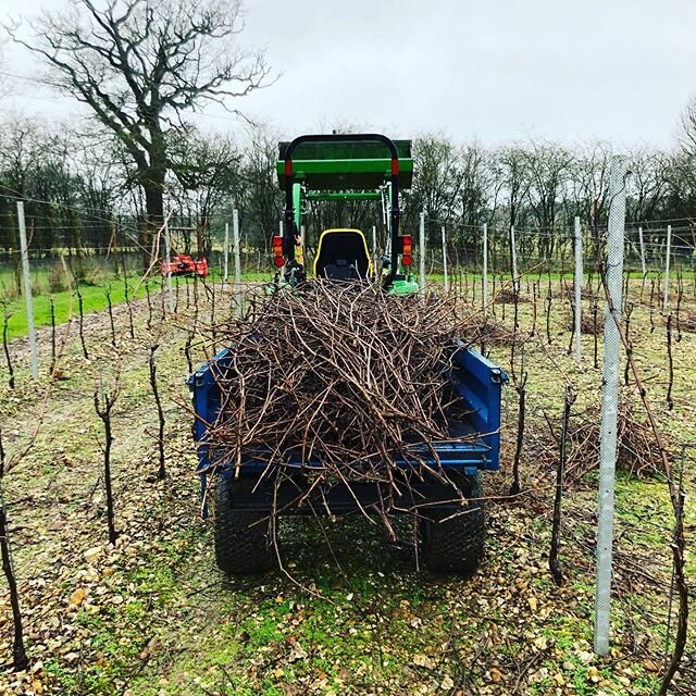 Pruning is in full swing, lovely working outdoors and driving the tractor when the rain and wind hold off #englishsparklingwine #lifeinthevineyard #winterpruning