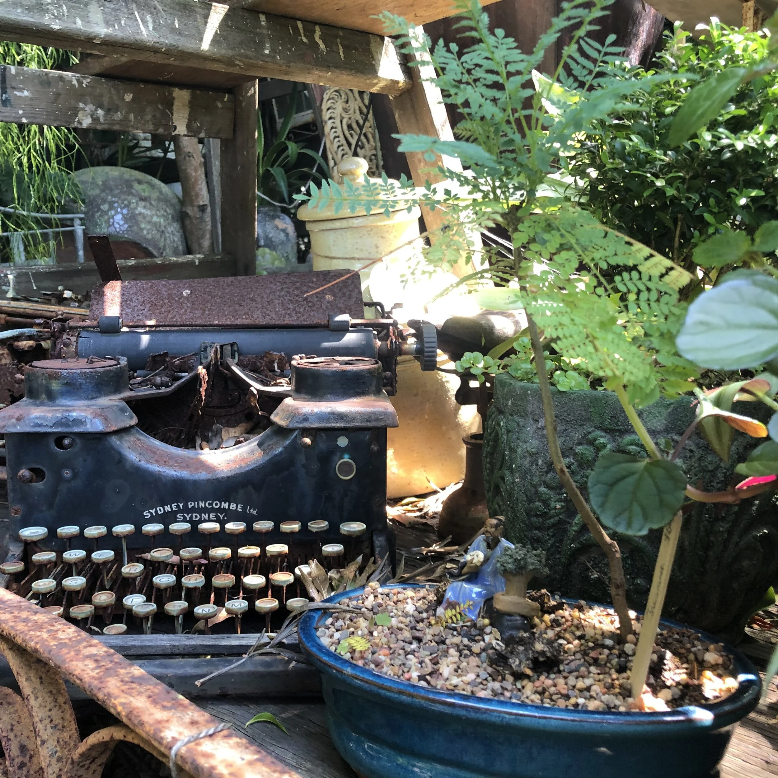 Our blessed den: christmas tree shopping Christmas Shopping- Ivy Alley, Hunters Hill — Montana Jayde