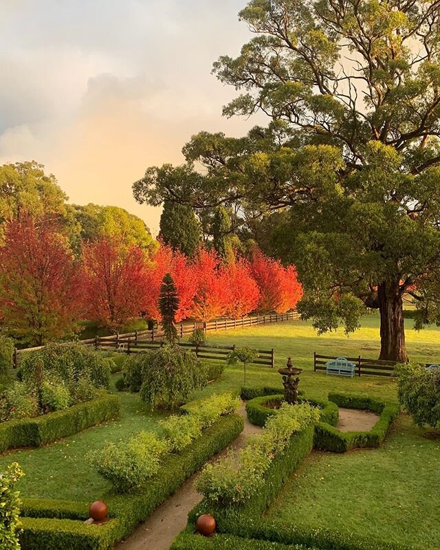 Isolation views don&rsquo;t get much better than this! We might just stay in bed all day 💤 .
.
.
#isolation #isolationbeauty #autumn #fall #redhill #morningtonpeninsula #gardening #sunrise #redhillpeonyestate