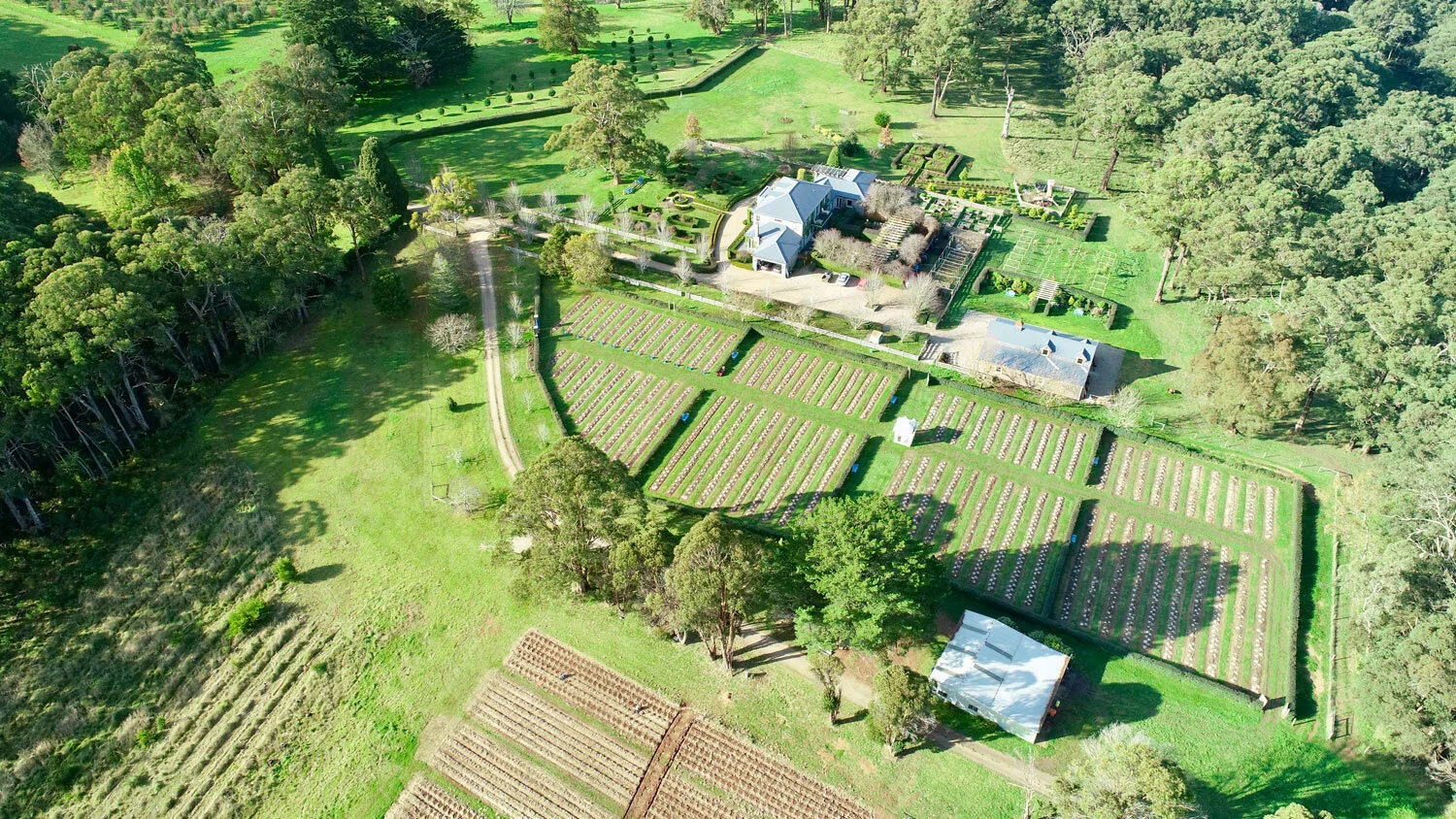 DJI_0063.jpg