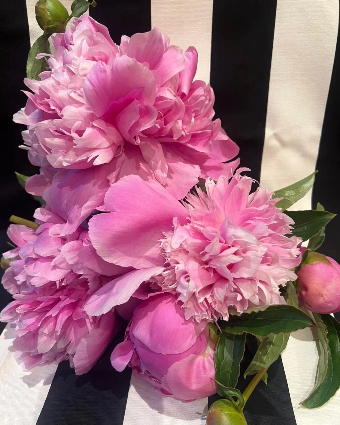 We have a very out-there sort of girl bunched up for you, this Saturday, (ONLY). She is very &ldquo;blousy&rdquo;  just like her name sake,
Sarah Bernhardt