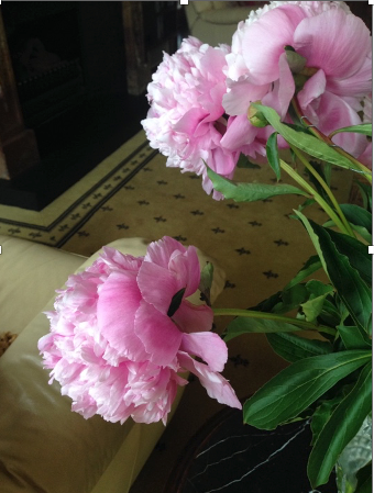 Screenshot 2026-03-24 at 9.39.03 pm.png (Copy) (Copy)