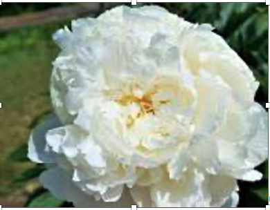 Screenshot 2026-03-24 at 9.49.41 pm.png (Copy)