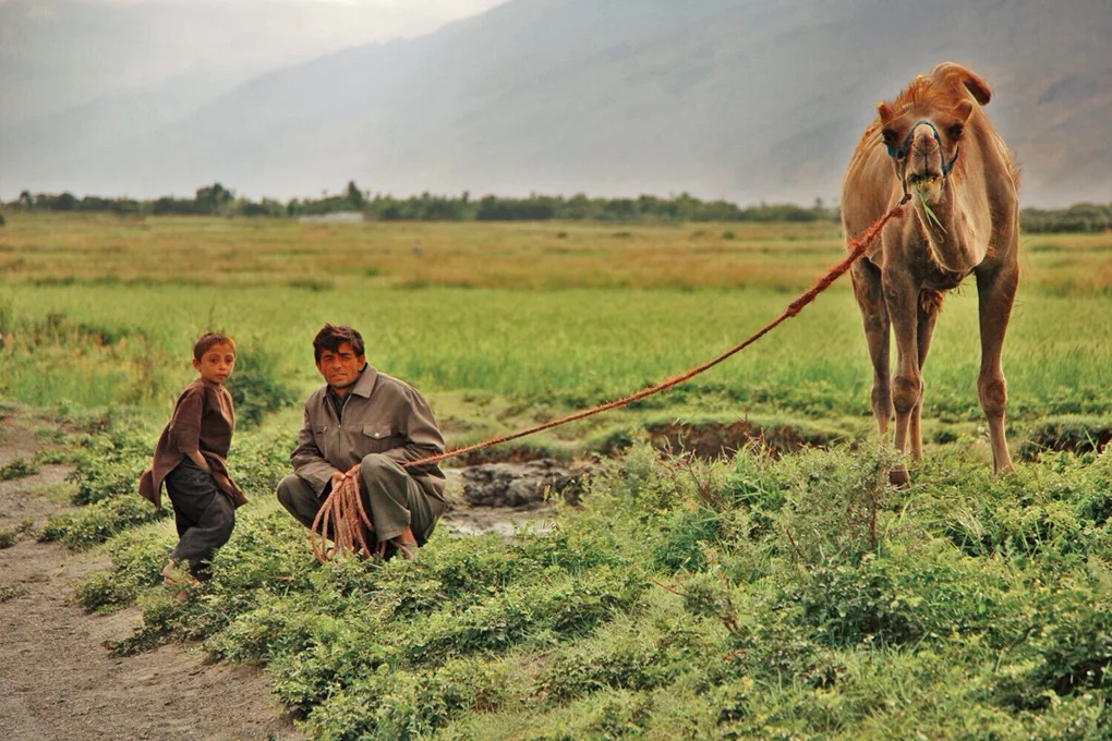 Holding on to your camel lest it floats away.