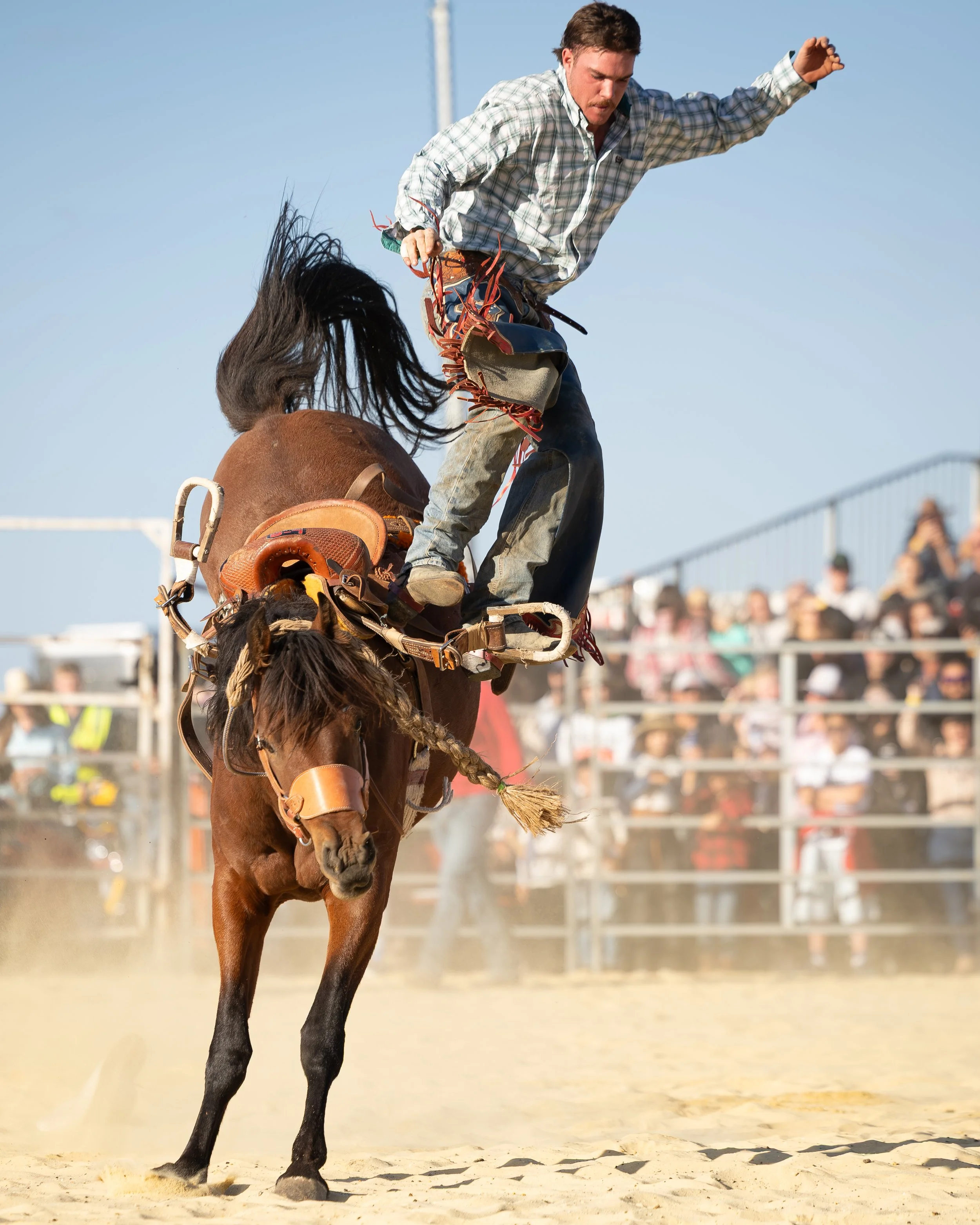 BRONCRIDERS_PlumptonRodeo-41.jpg