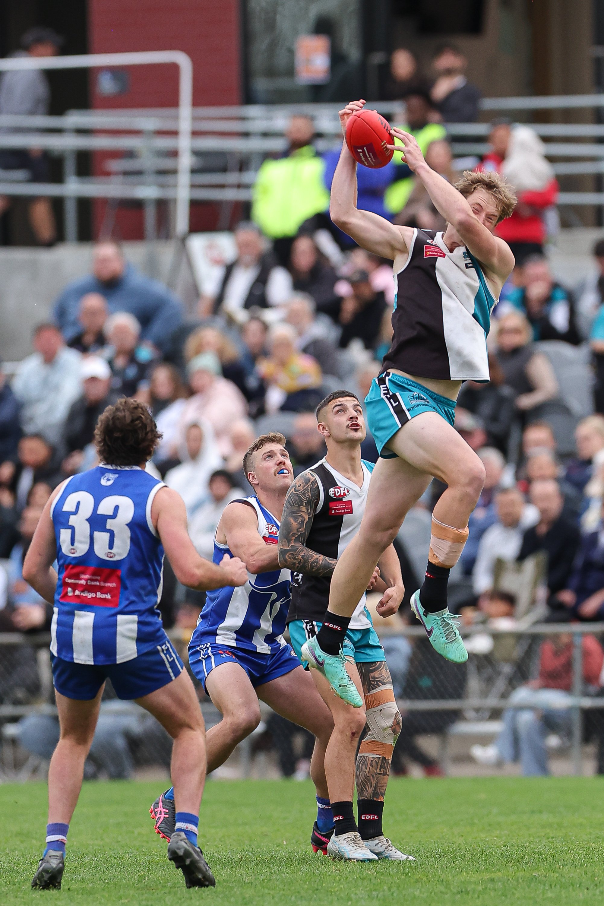 Sharks_Premiers25_MikeTarrPhotography-99.jpg