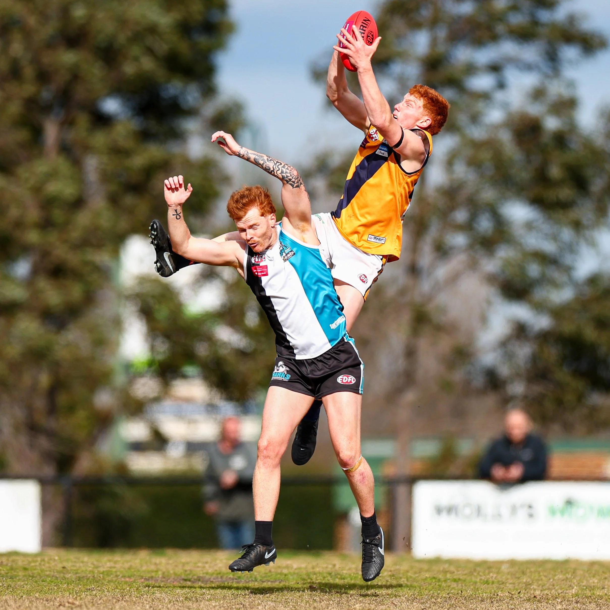 Two men playing Australian rules football outdoors. One man, with red hair, wearing a yellow, black, and white jersey, is leaping to catch the ball. The other man, with dark hair, in a blue, white, and black jersey, is jumping with his head below the